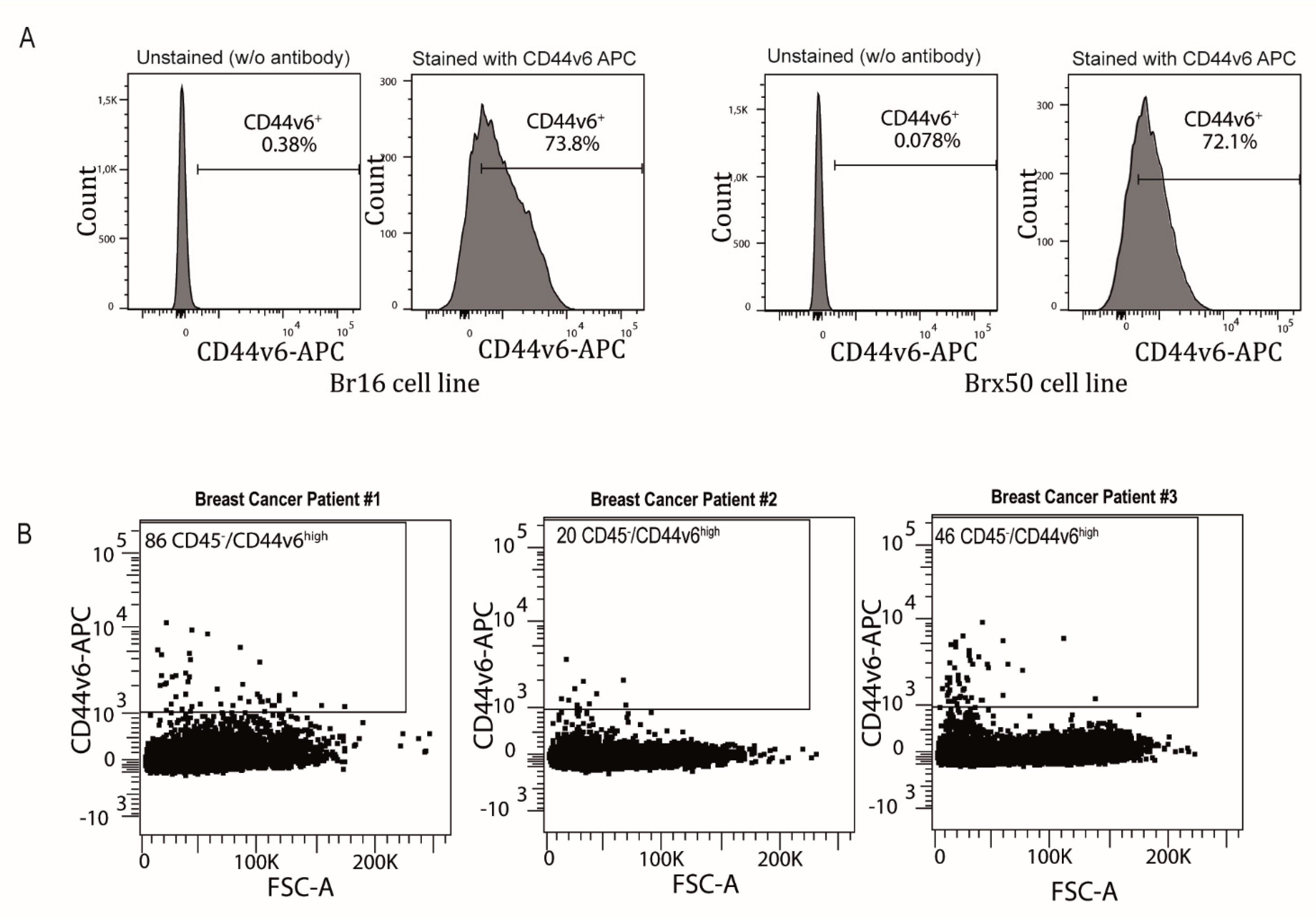 Cancers 13 04966 g005