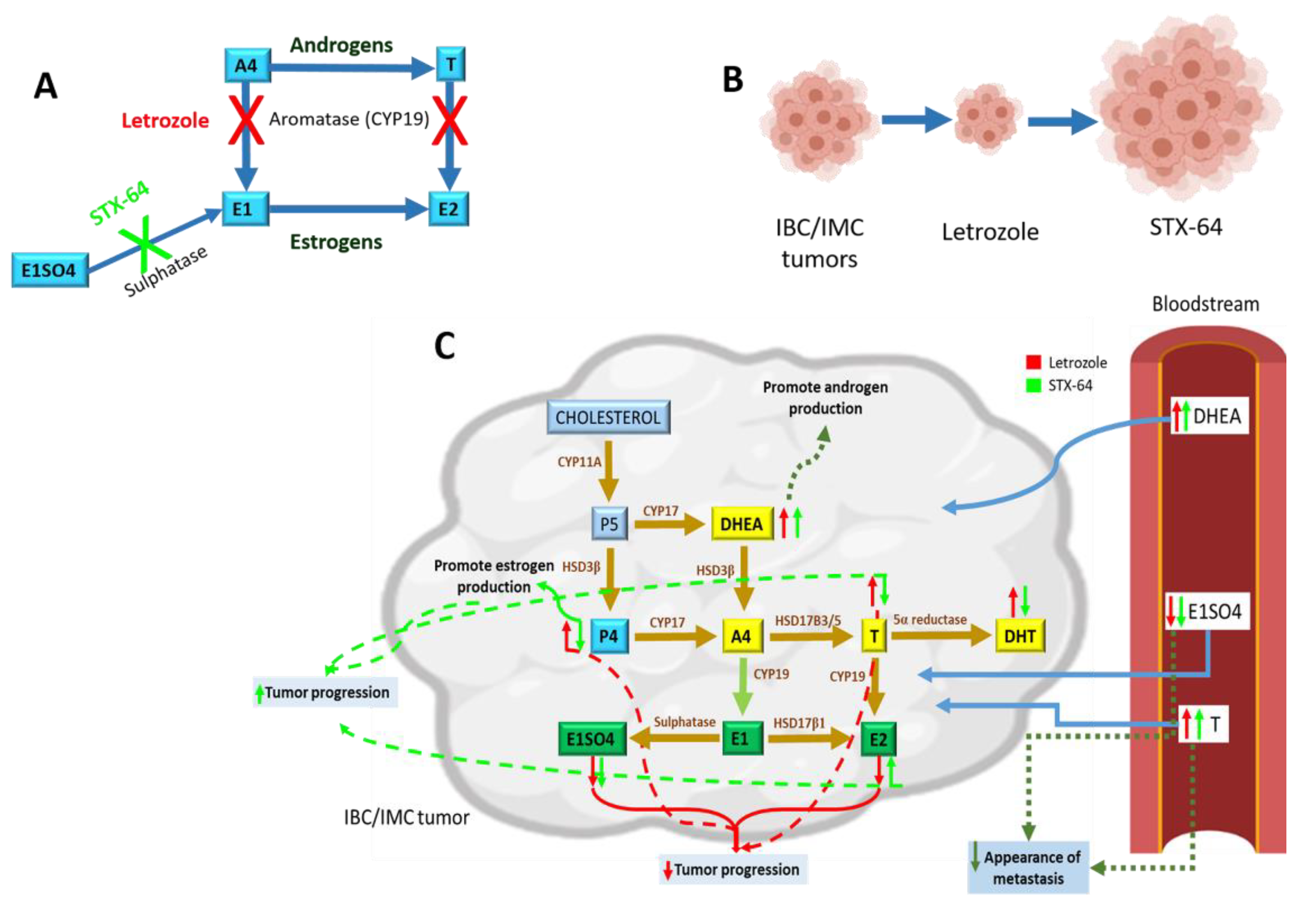 Cancers 13 04967 g006
