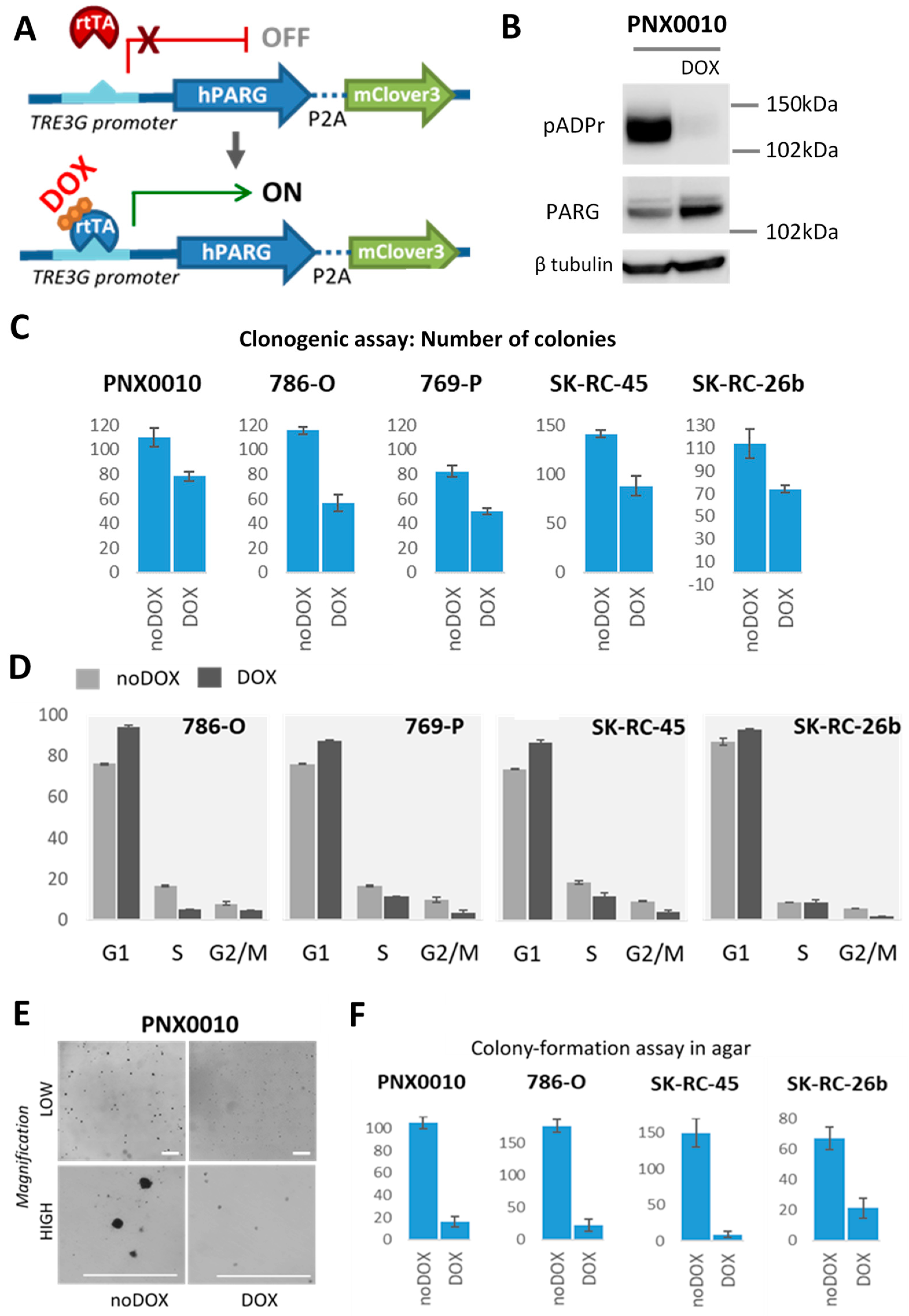 Cancers 13 04973 g003 Cancers 13 04973 g003