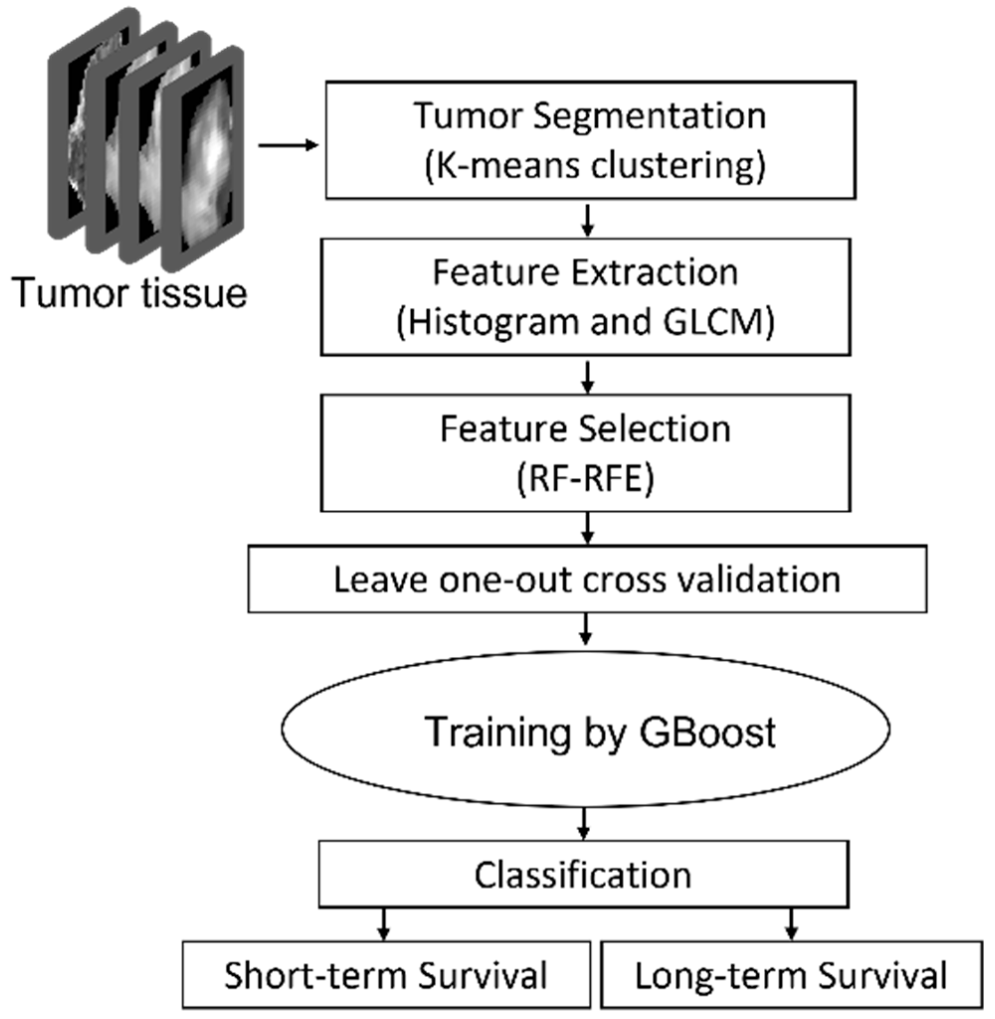 Cancers 13 04976 g001 550