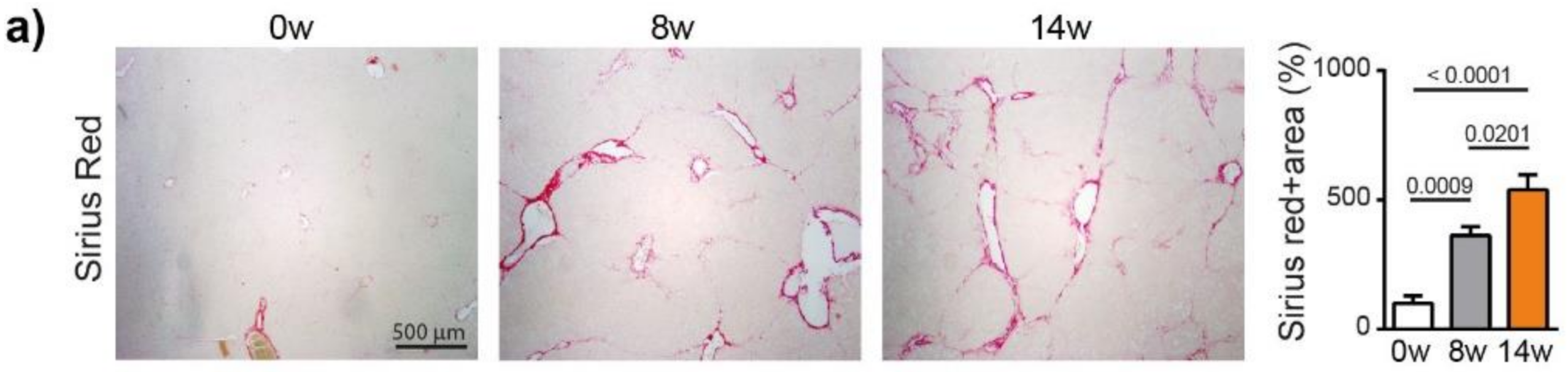 Cancers 13 04981 g002a