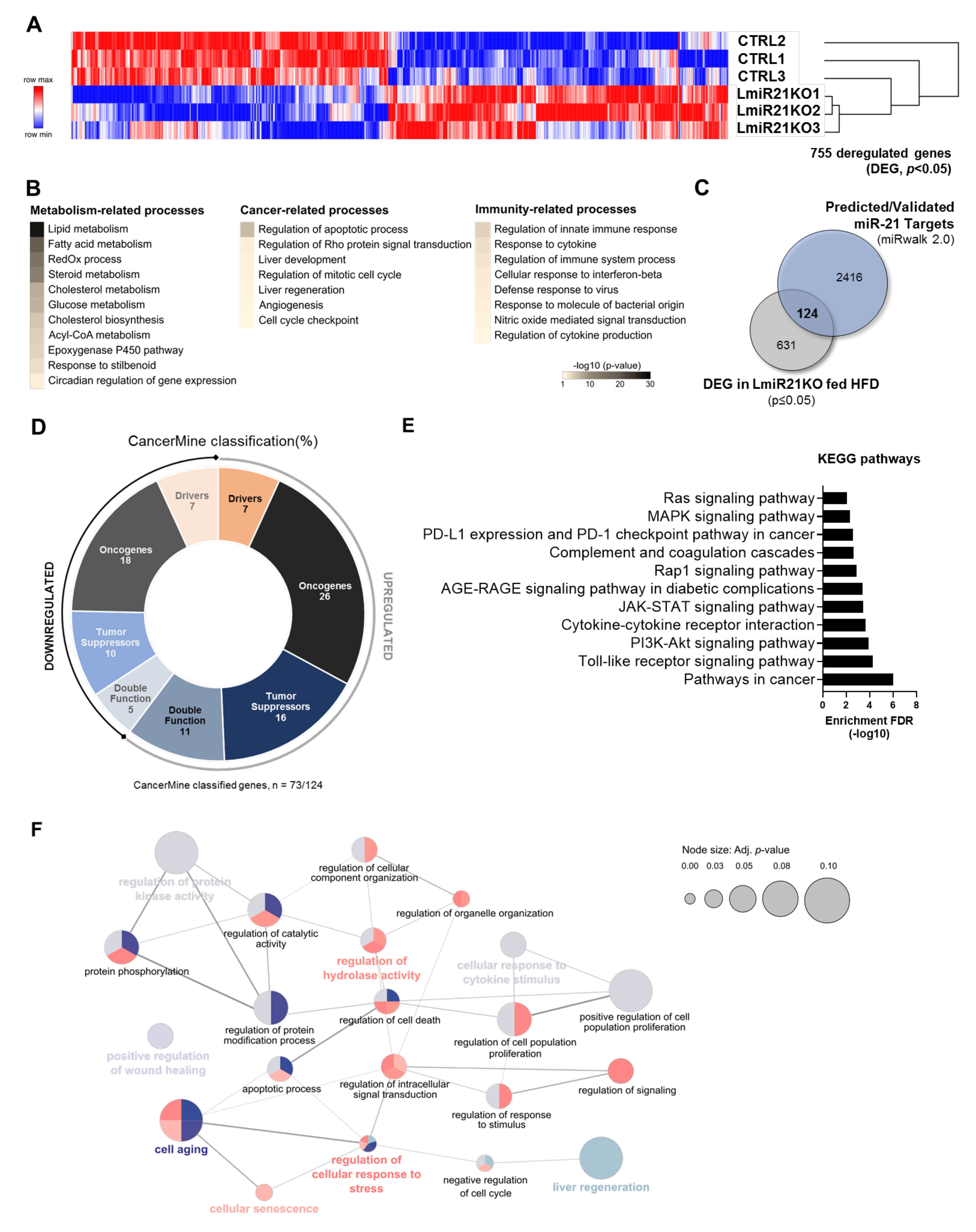 Cancers 13 04983 g001 Cancers 13 04983 g001