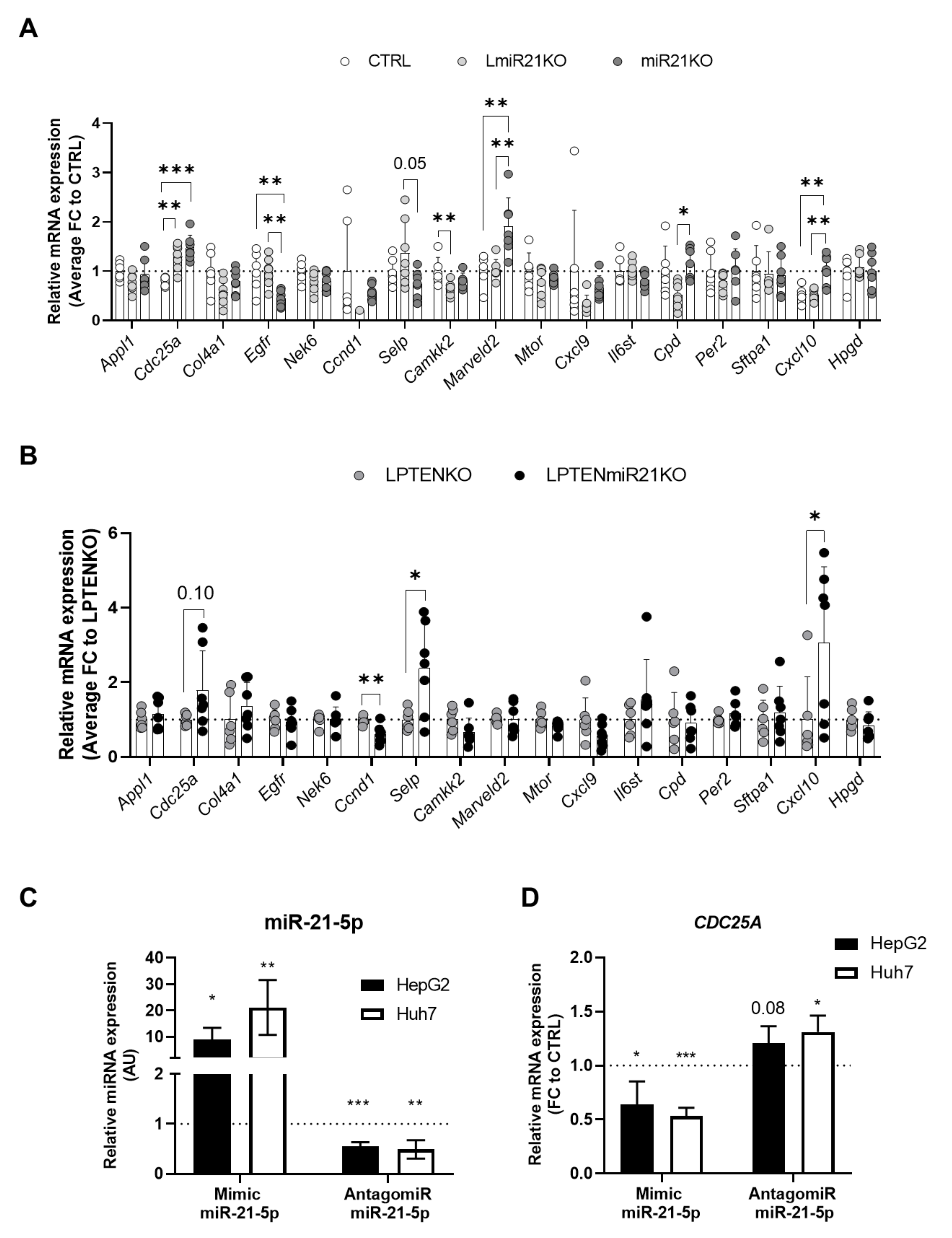 Cancers 13 04983 g005 Cancers 13 04983 g005