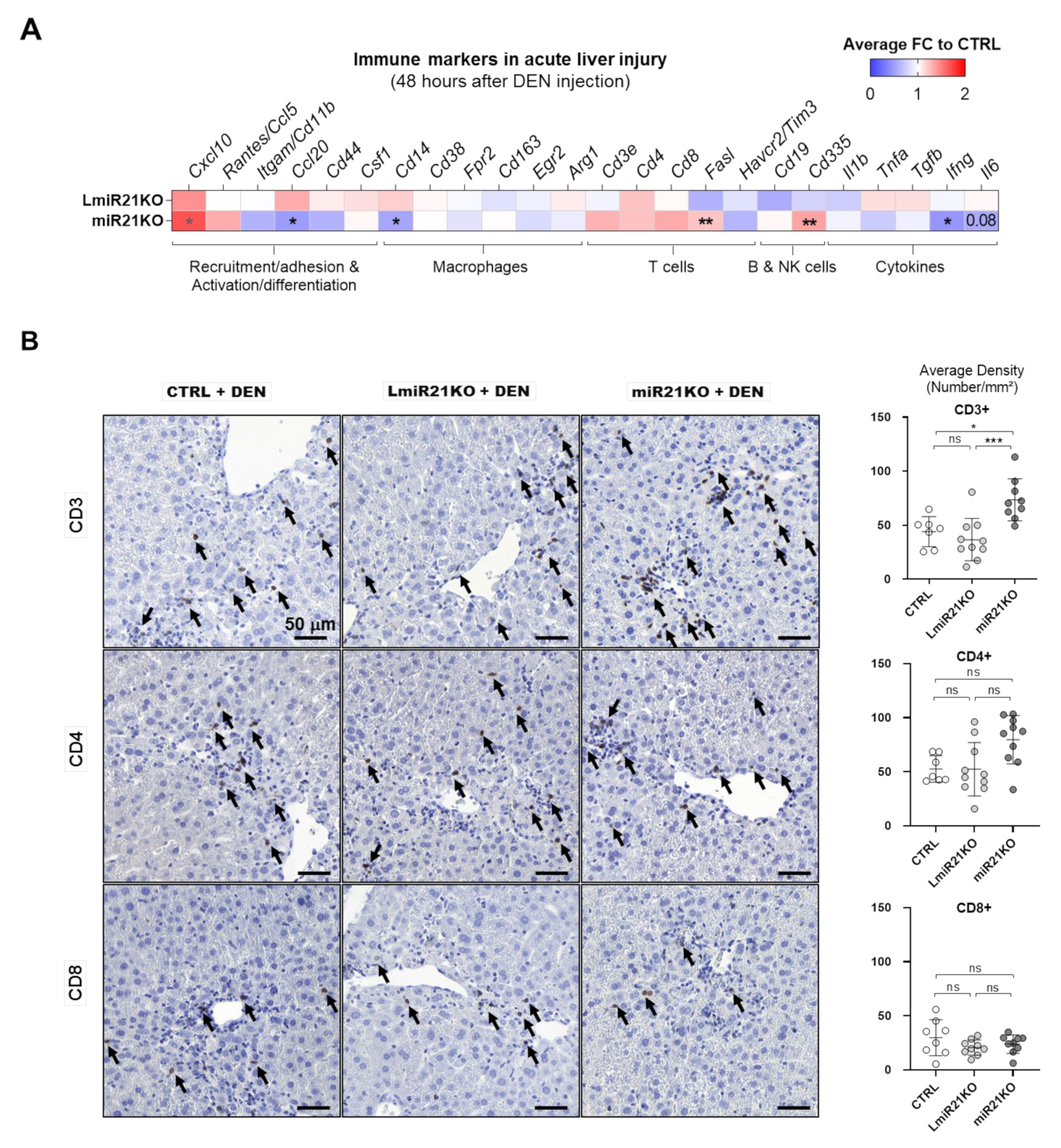Cancers 13 04983 g006 Cancers 13 04983 g006