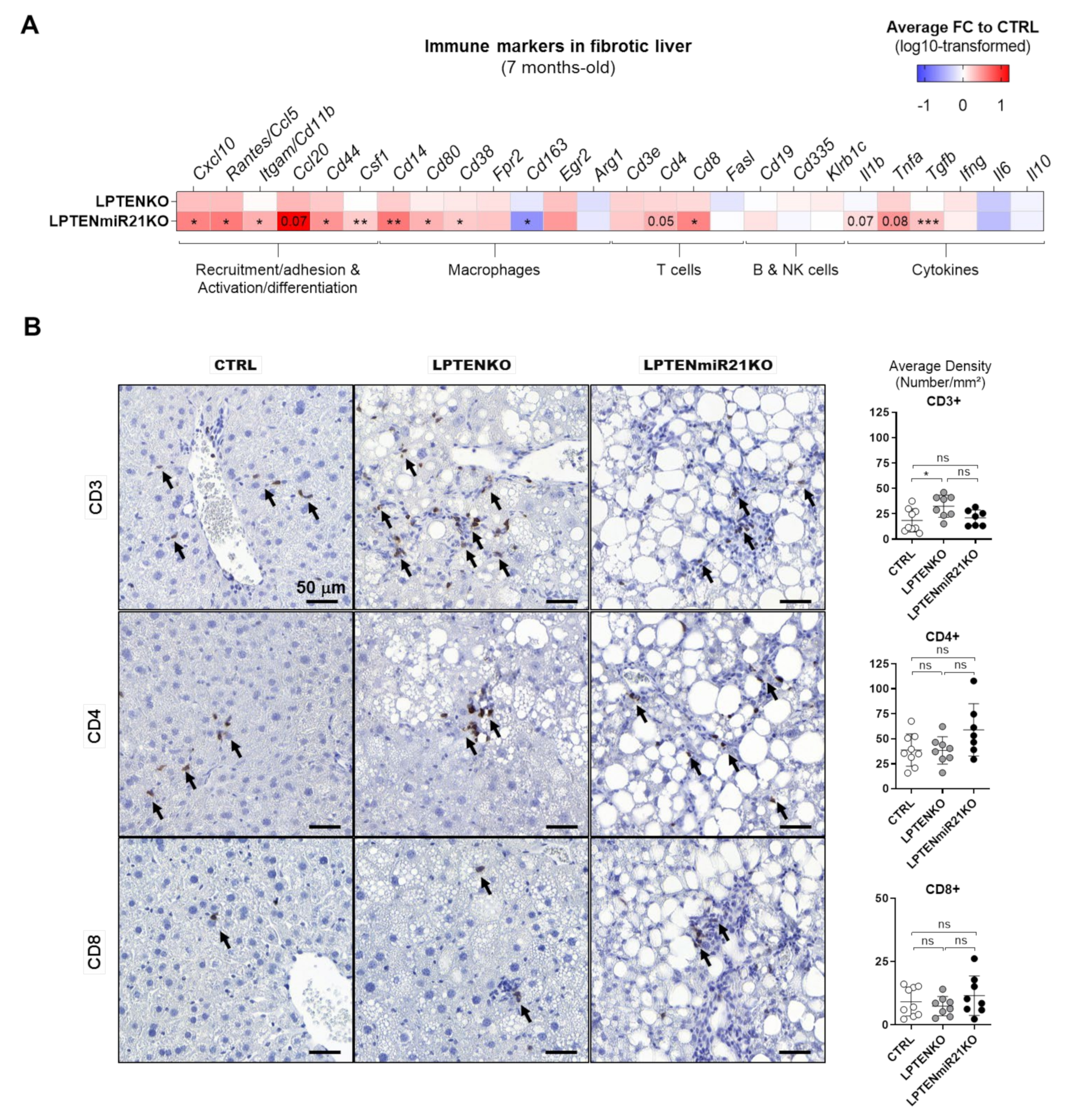 Cancers 13 04983 g007 Cancers 13 04983 g007