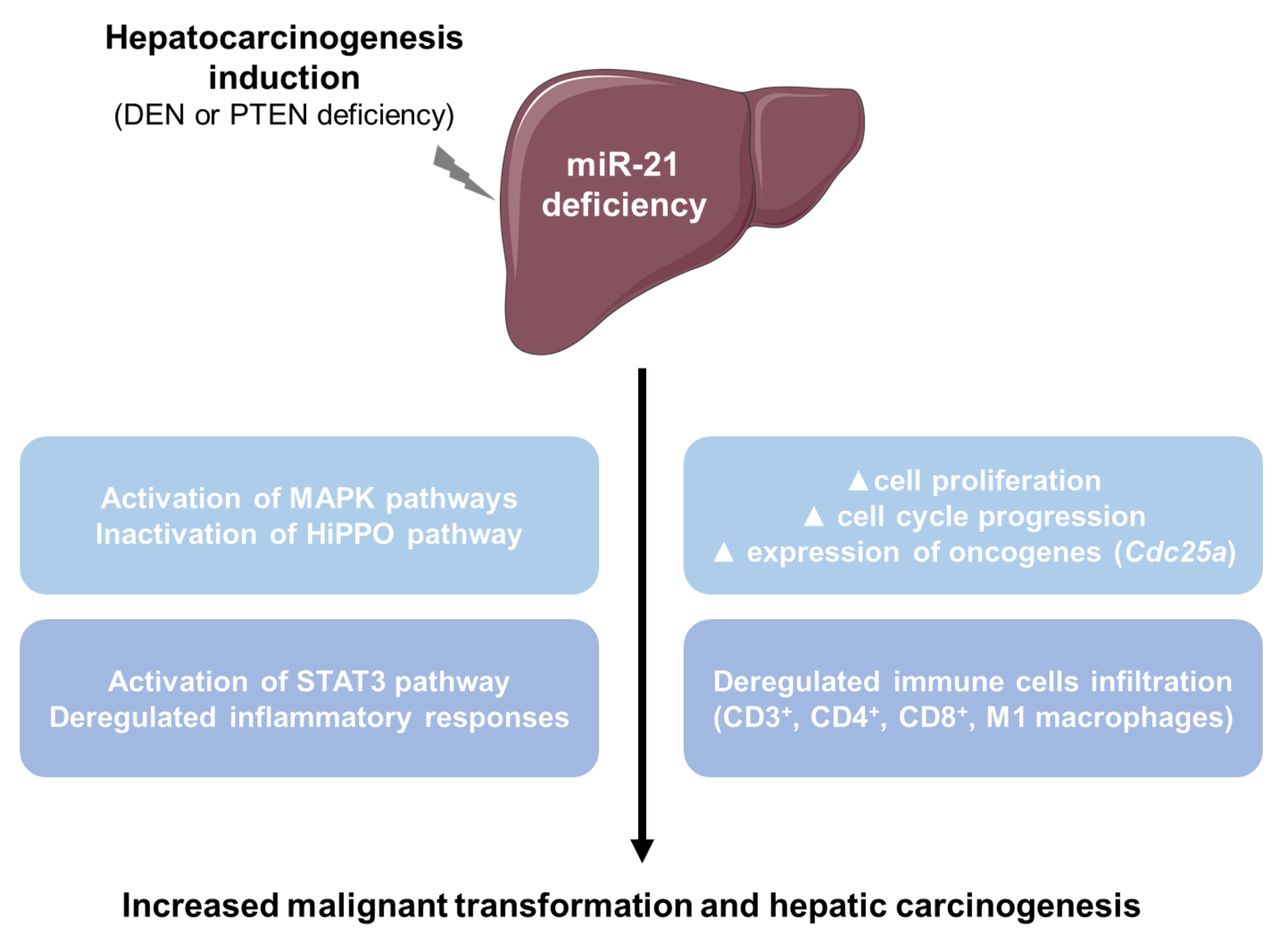 Cancers 13 04983 g008 Cancers 13 04983 g008