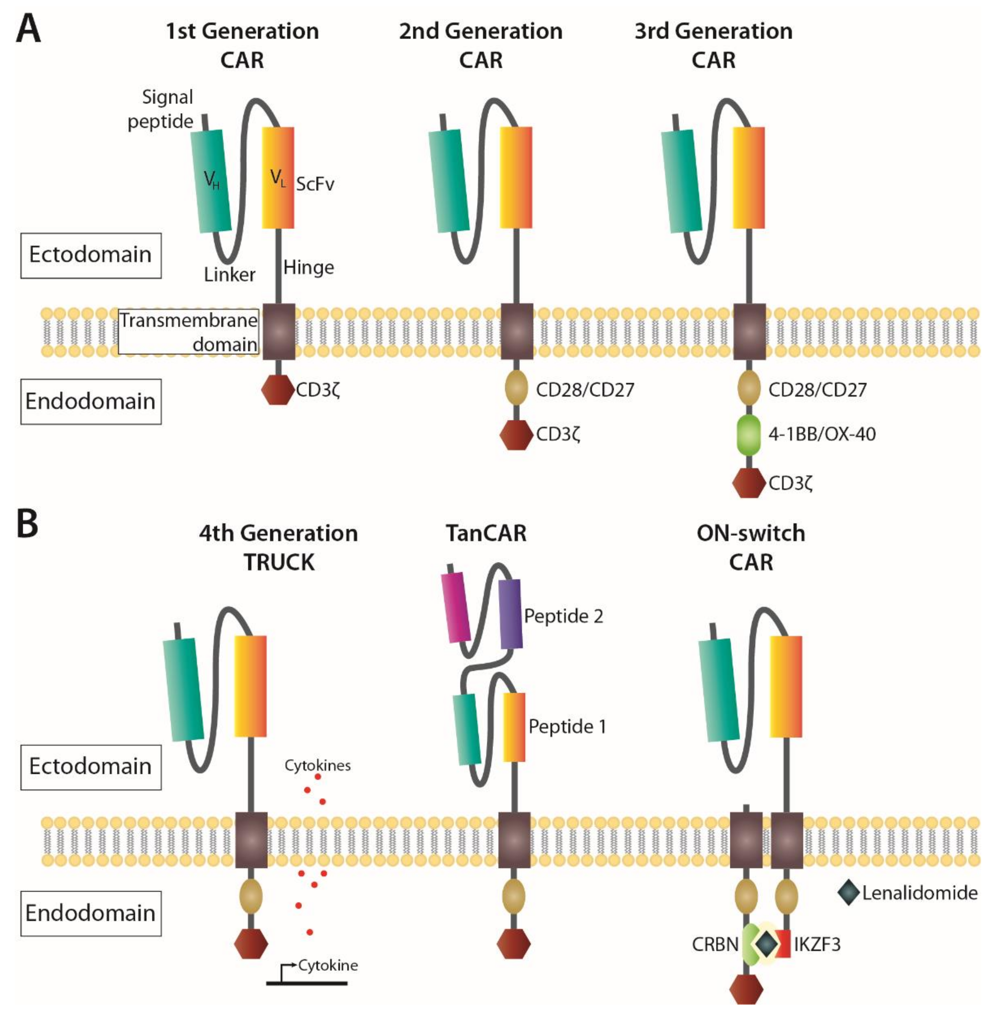 Cancers 13 04986 g002 550