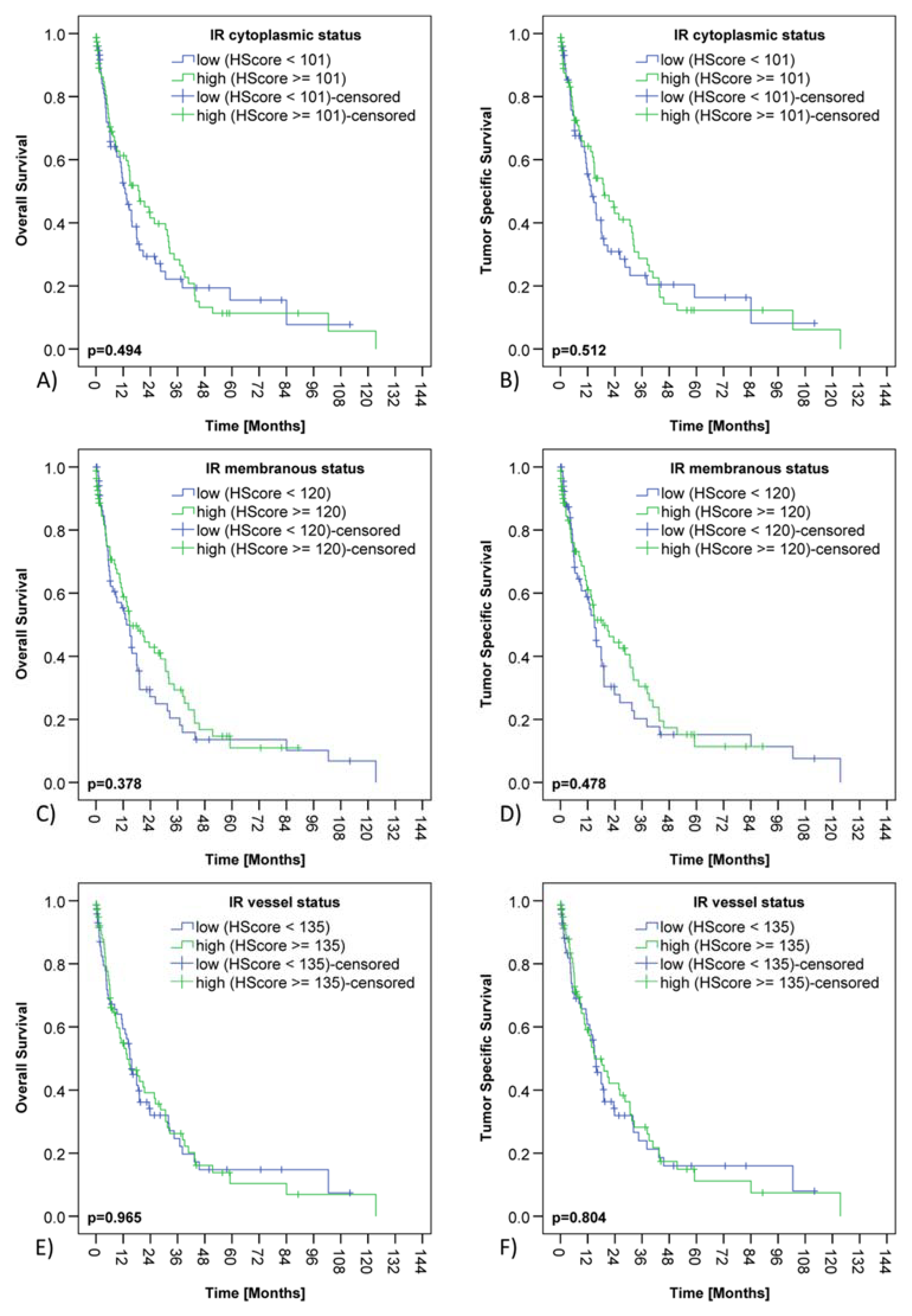 Cancers 13 04988 g003