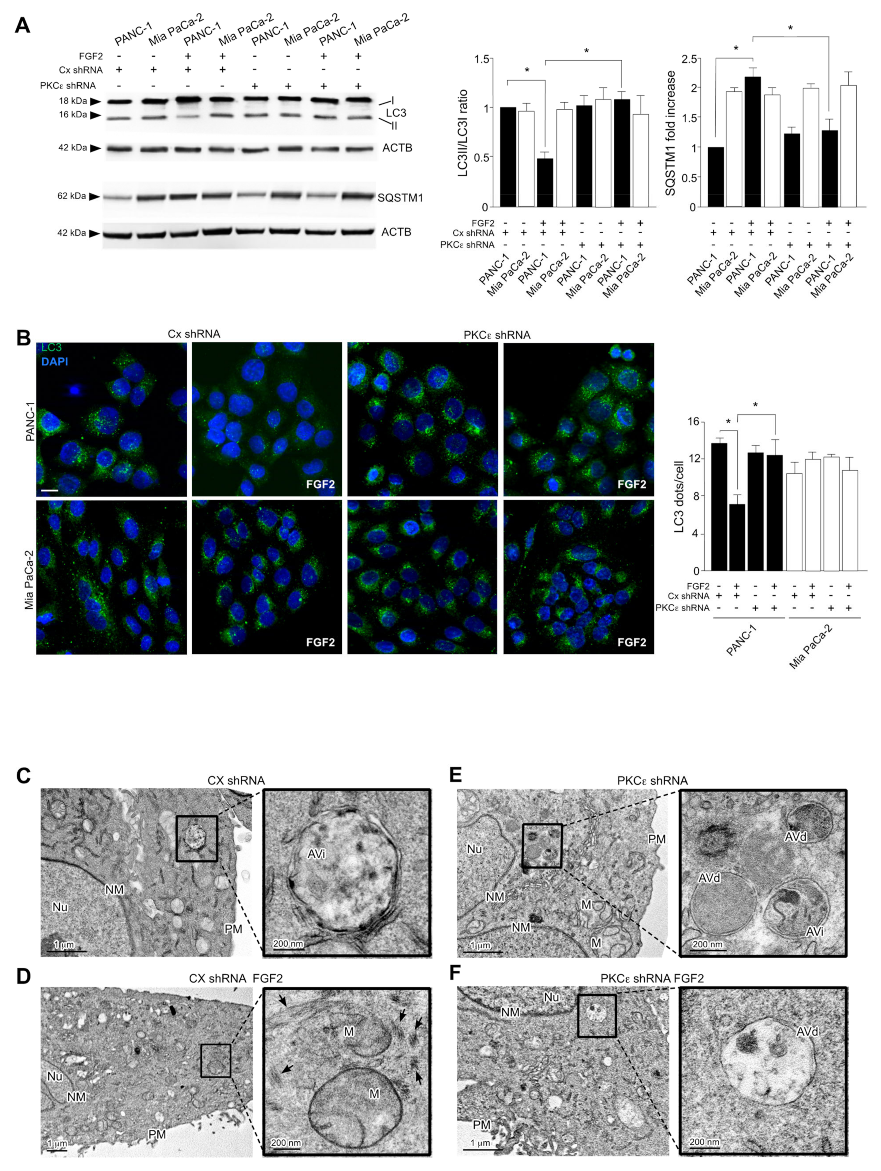 Cancers 13 04993 g005