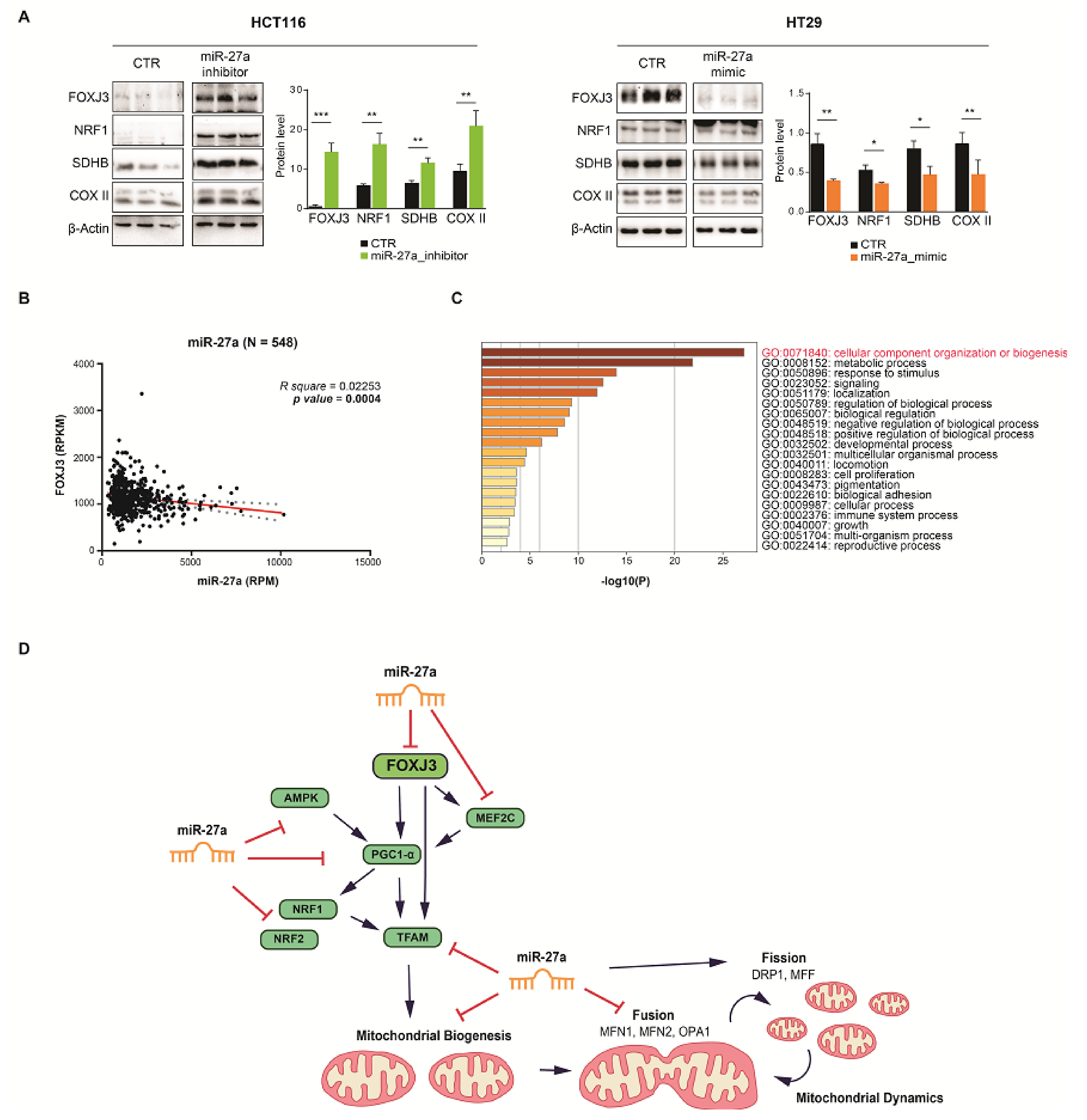 Cancers 13 04994 g006