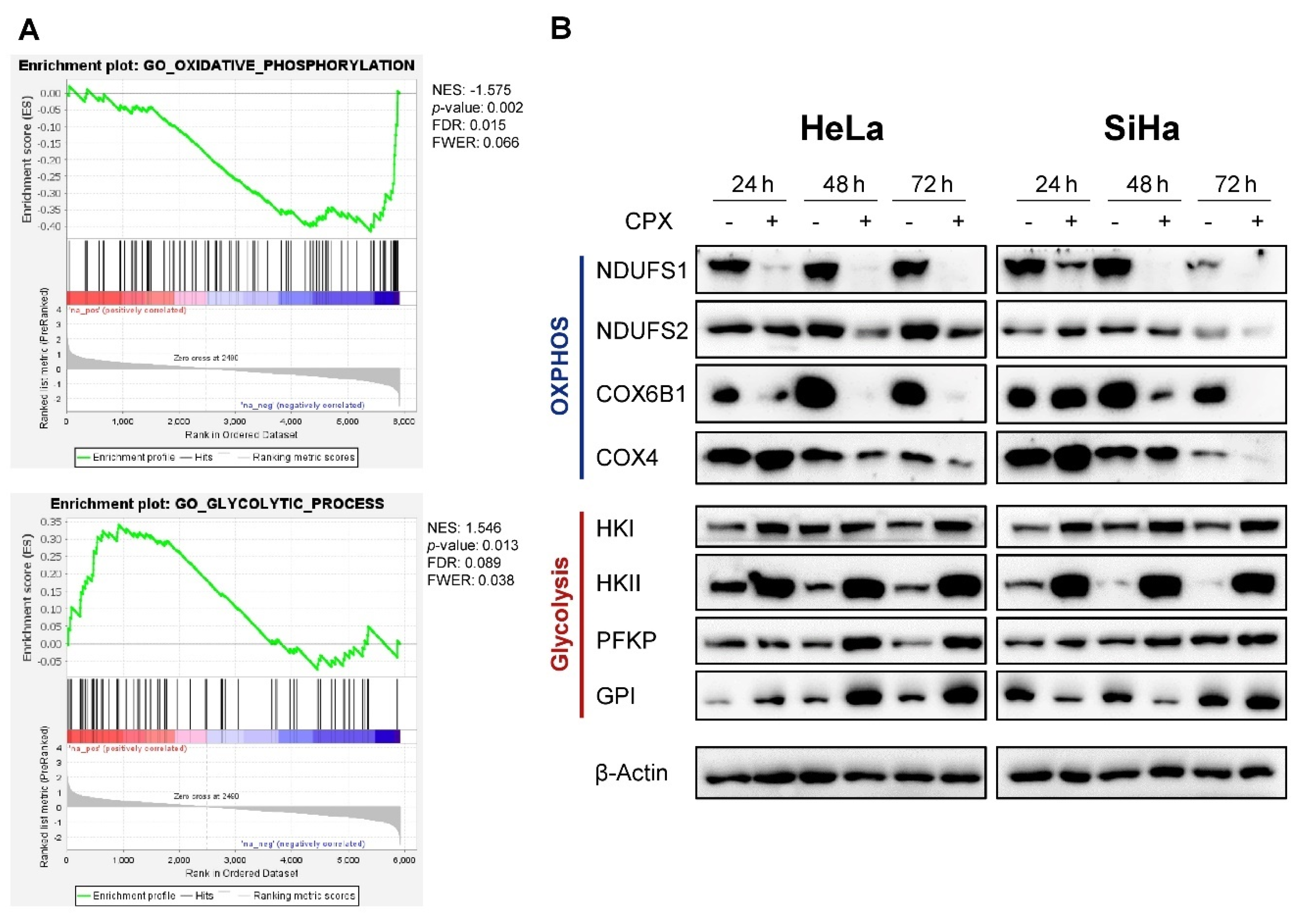 Cancers 13 04995 g001 Cancers 13 04995 g001