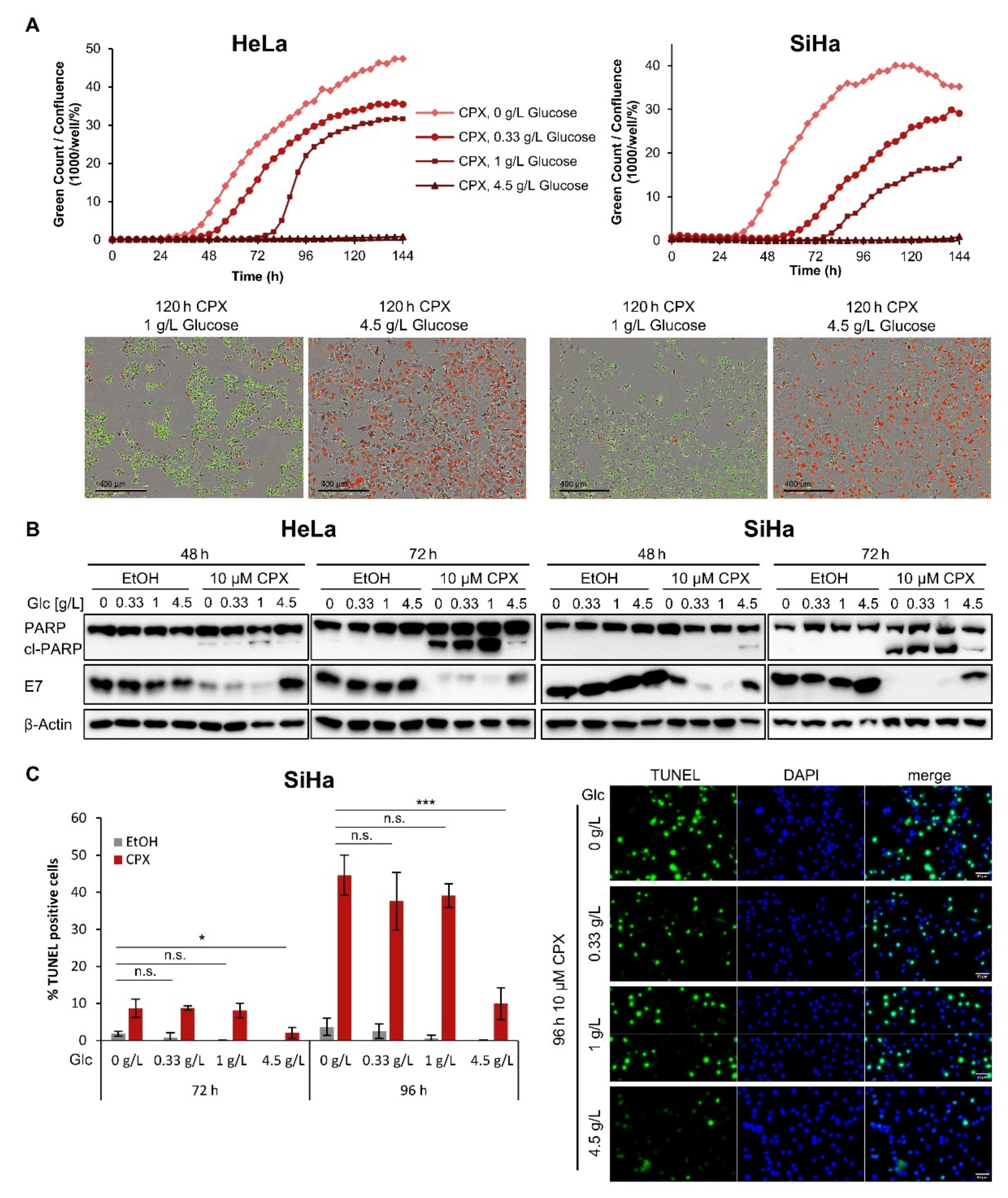 Cancers 13 04995 g002 Cancers 13 04995 g002