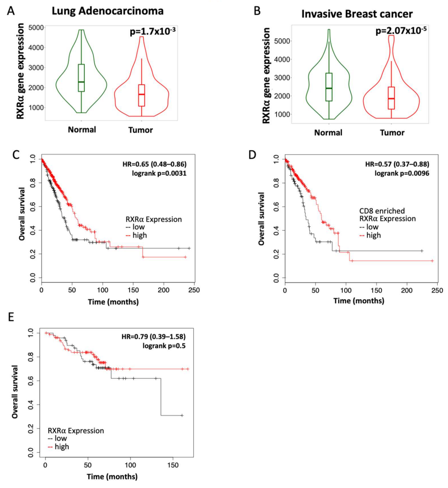 Cancers 13 05004 g001 Cancers 13 05004 g001