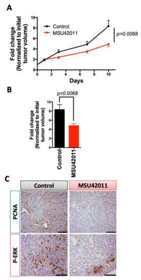Evolution of Cancer\r
英語版 Aging-related signature stratifies LUAD prognosis and
