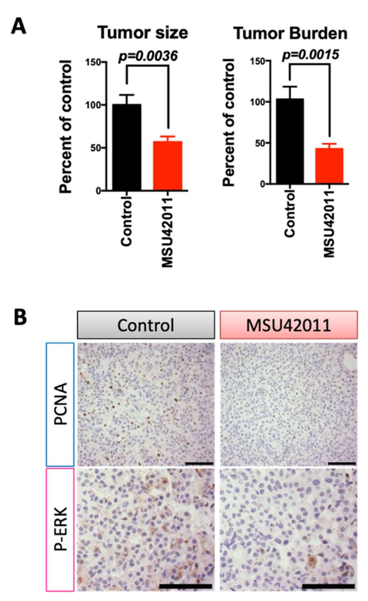 Cancers 13 05004 g003 Cancers 13 05004 g003