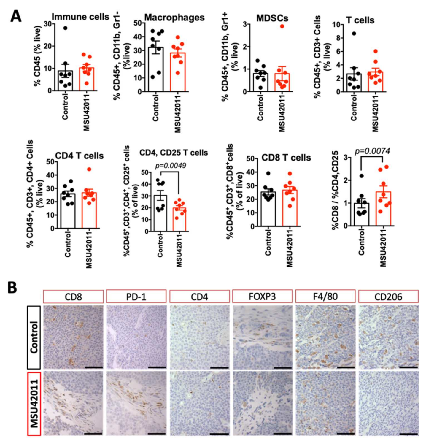 Cancers 13 05004 g004 Cancers 13 05004 g004