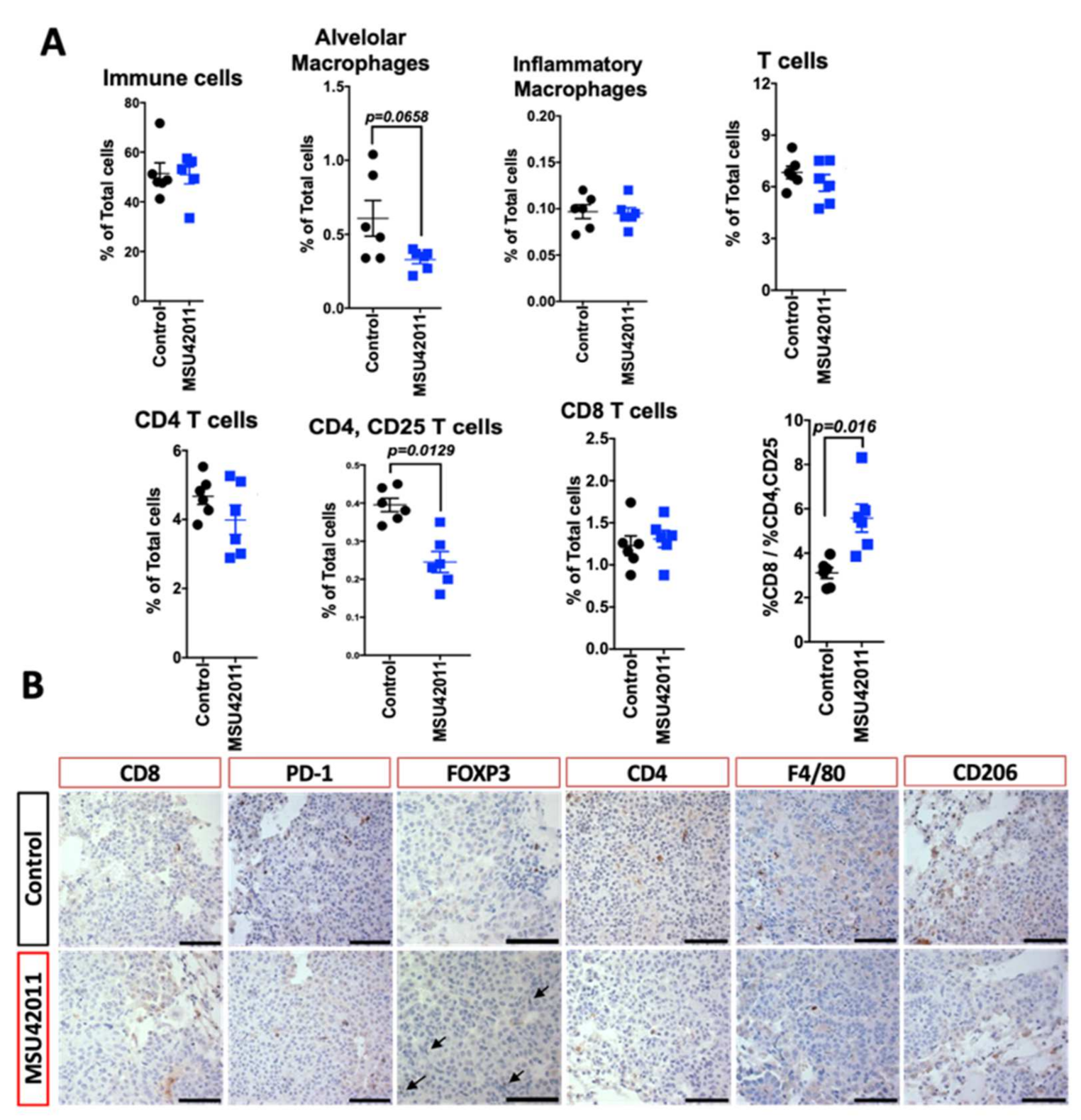 Cancers 13 05004 g005 Cancers 13 05004 g005