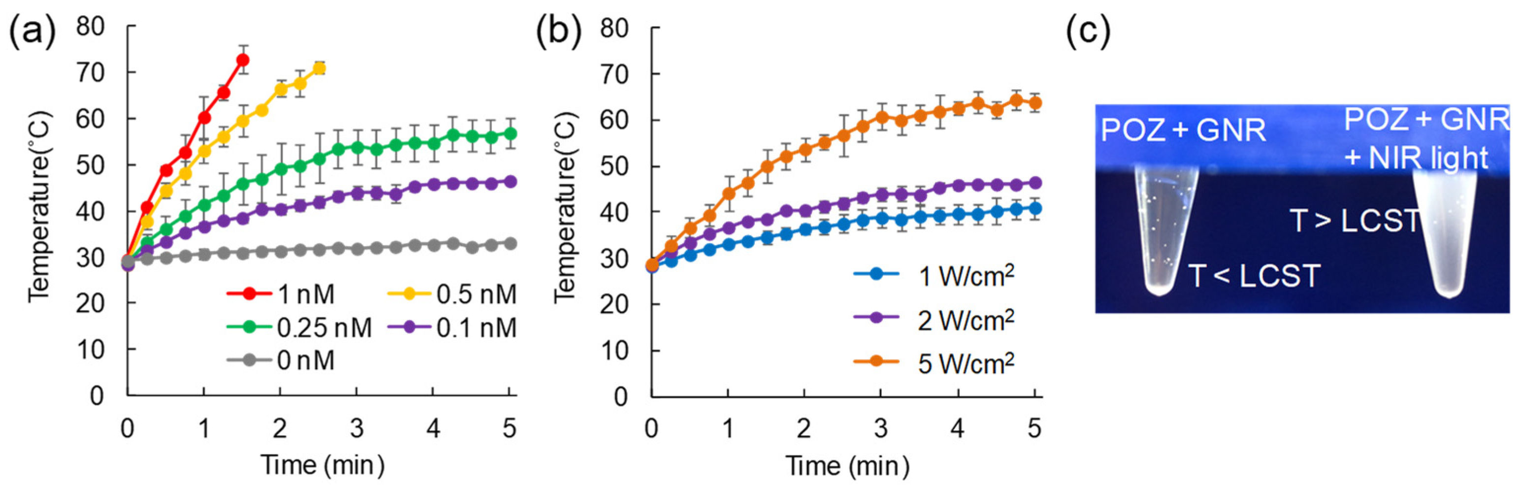 Cancers 13 05005 g003