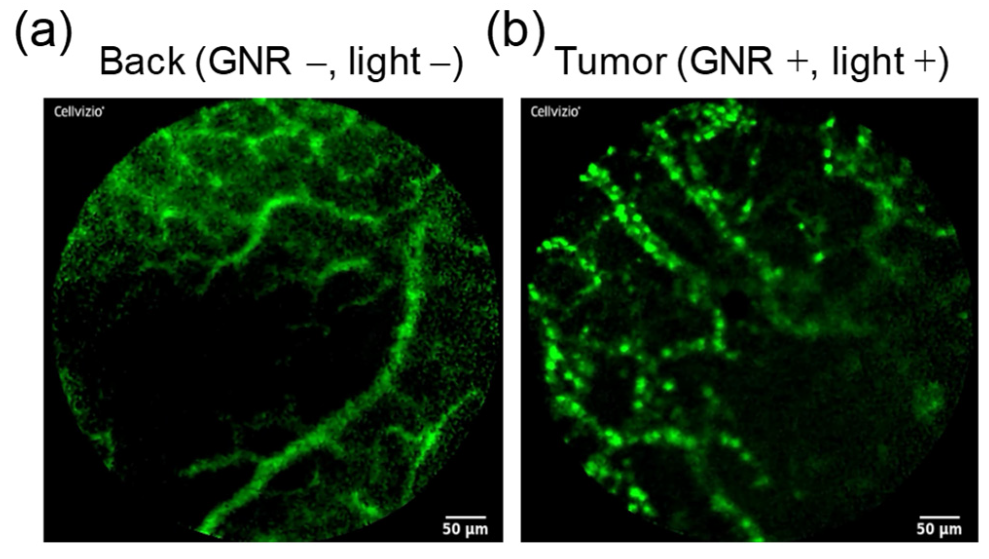 Cancers 13 05005 g006