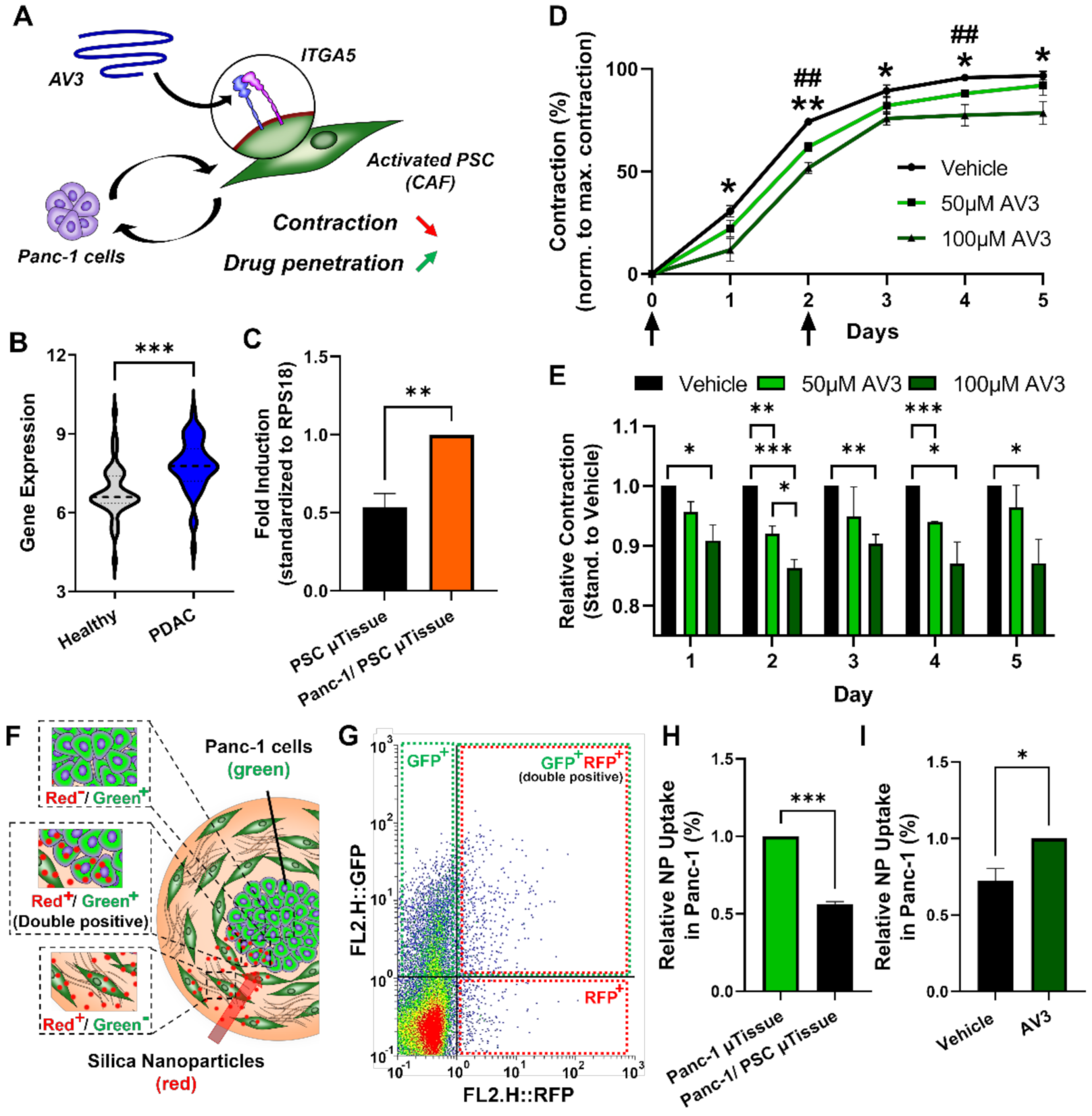 Cancers 13 05006 g007