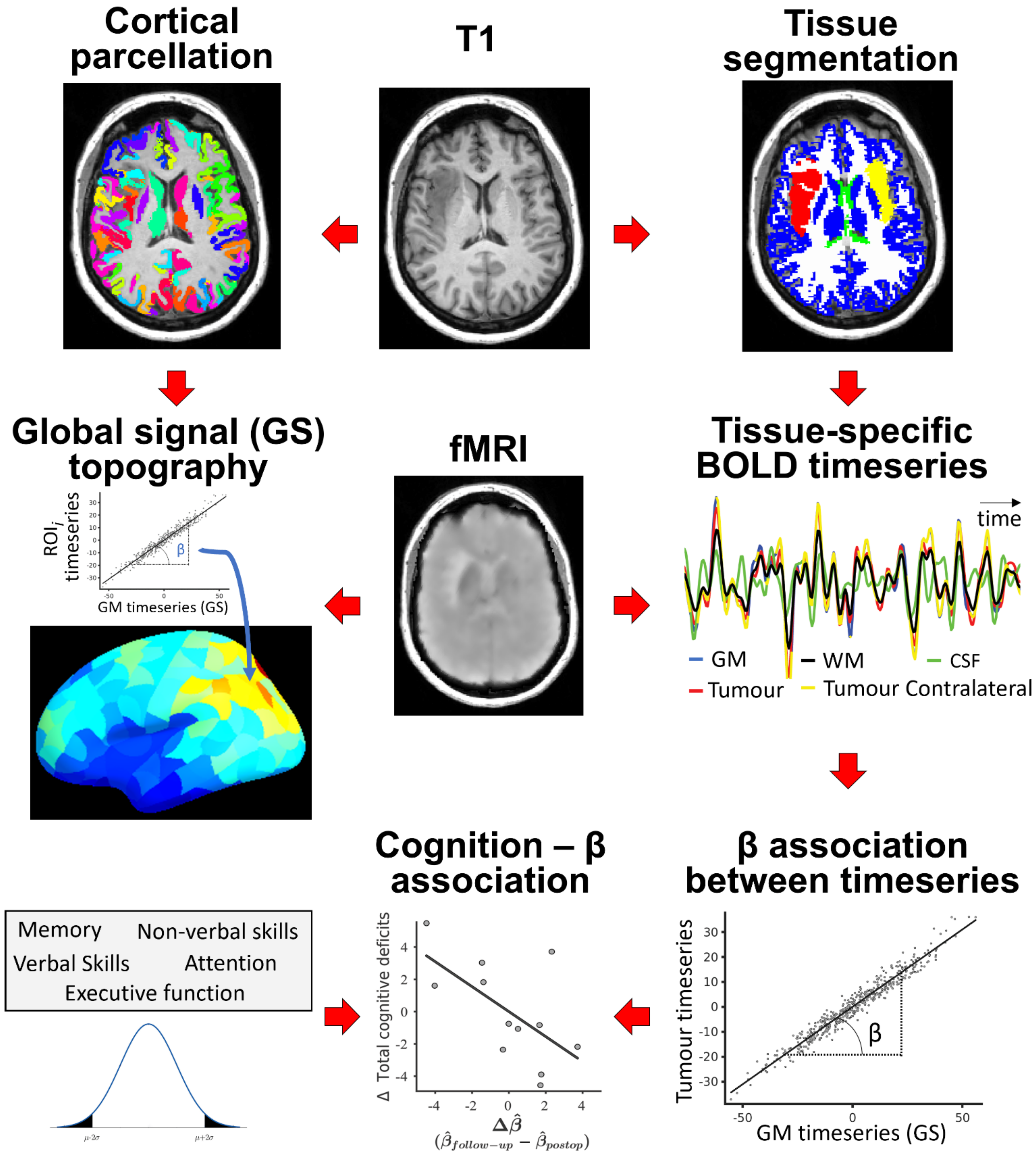 Cancers 13 05008 g001 Cancers 13 05008 g001