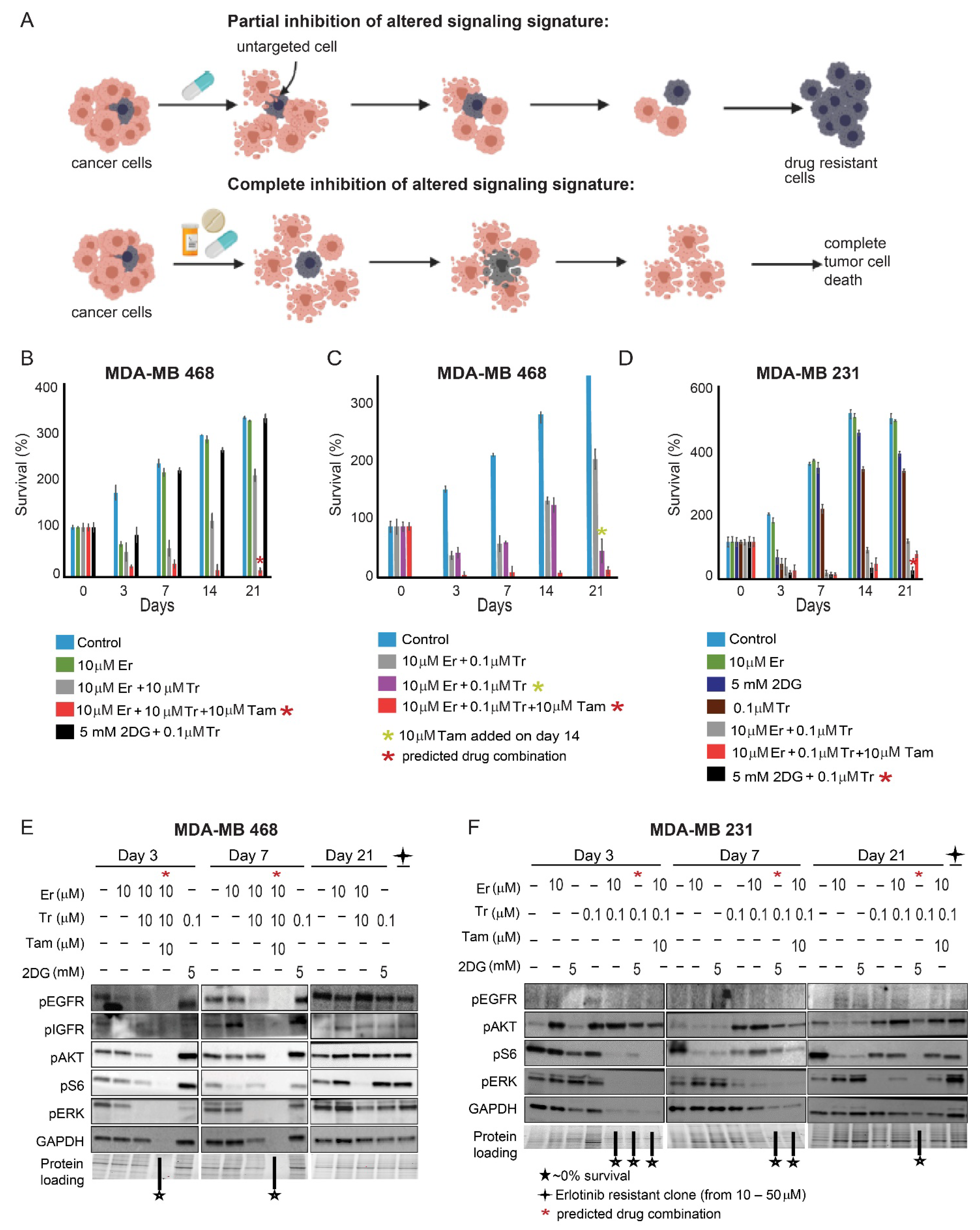 Cancers 13 05009 g003