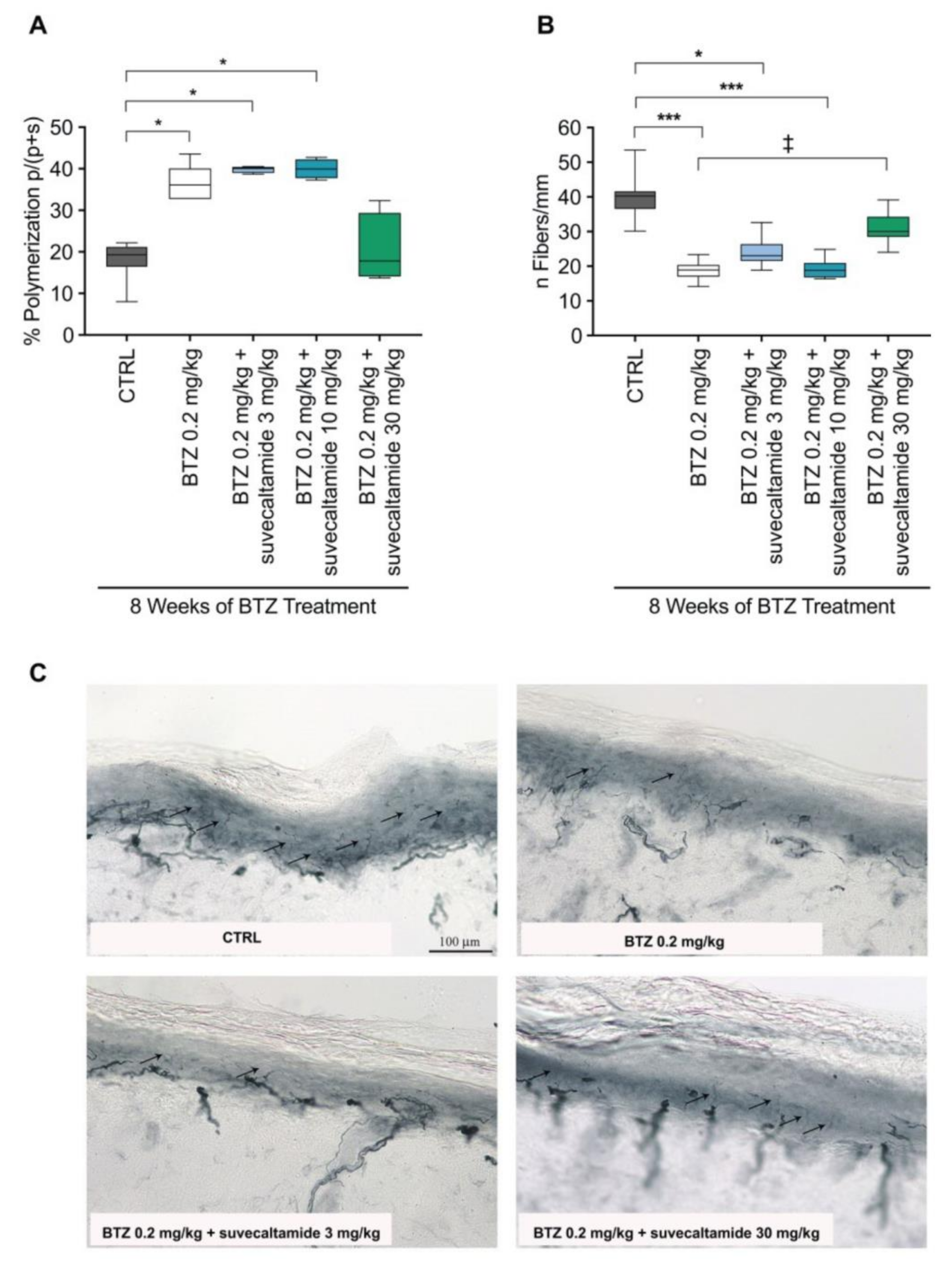 Cancers 13 05013 g004
