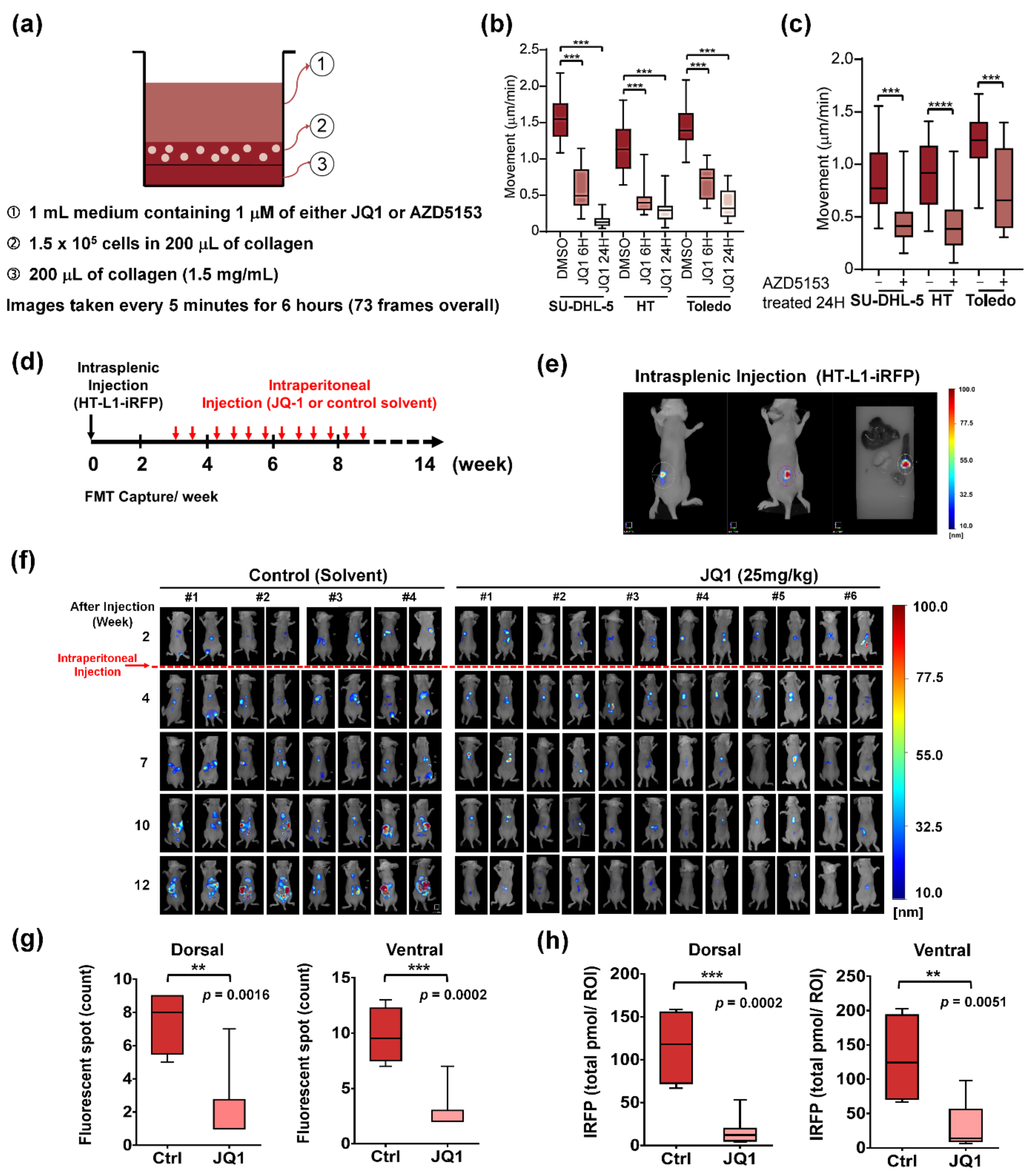 Cancers 13 05024 g001