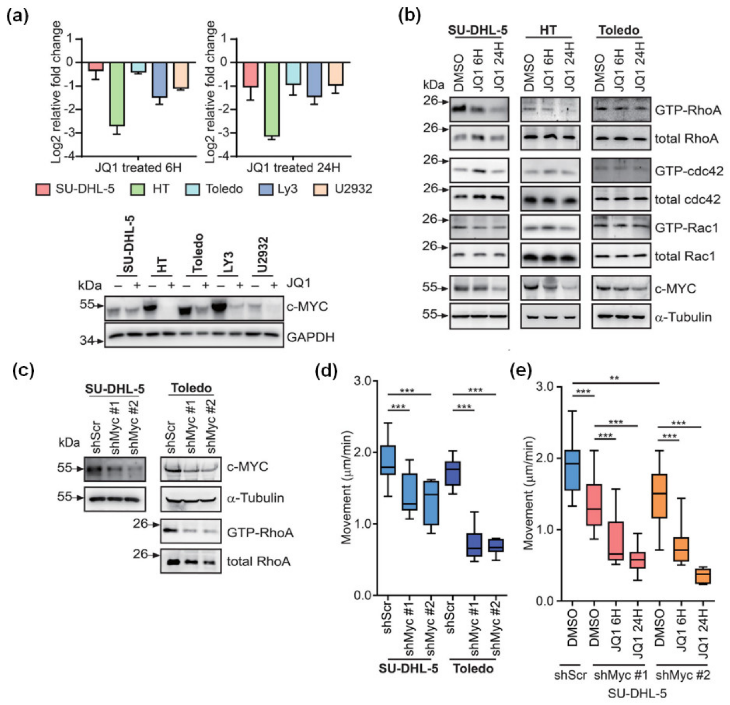 Cancers 13 05024 g002