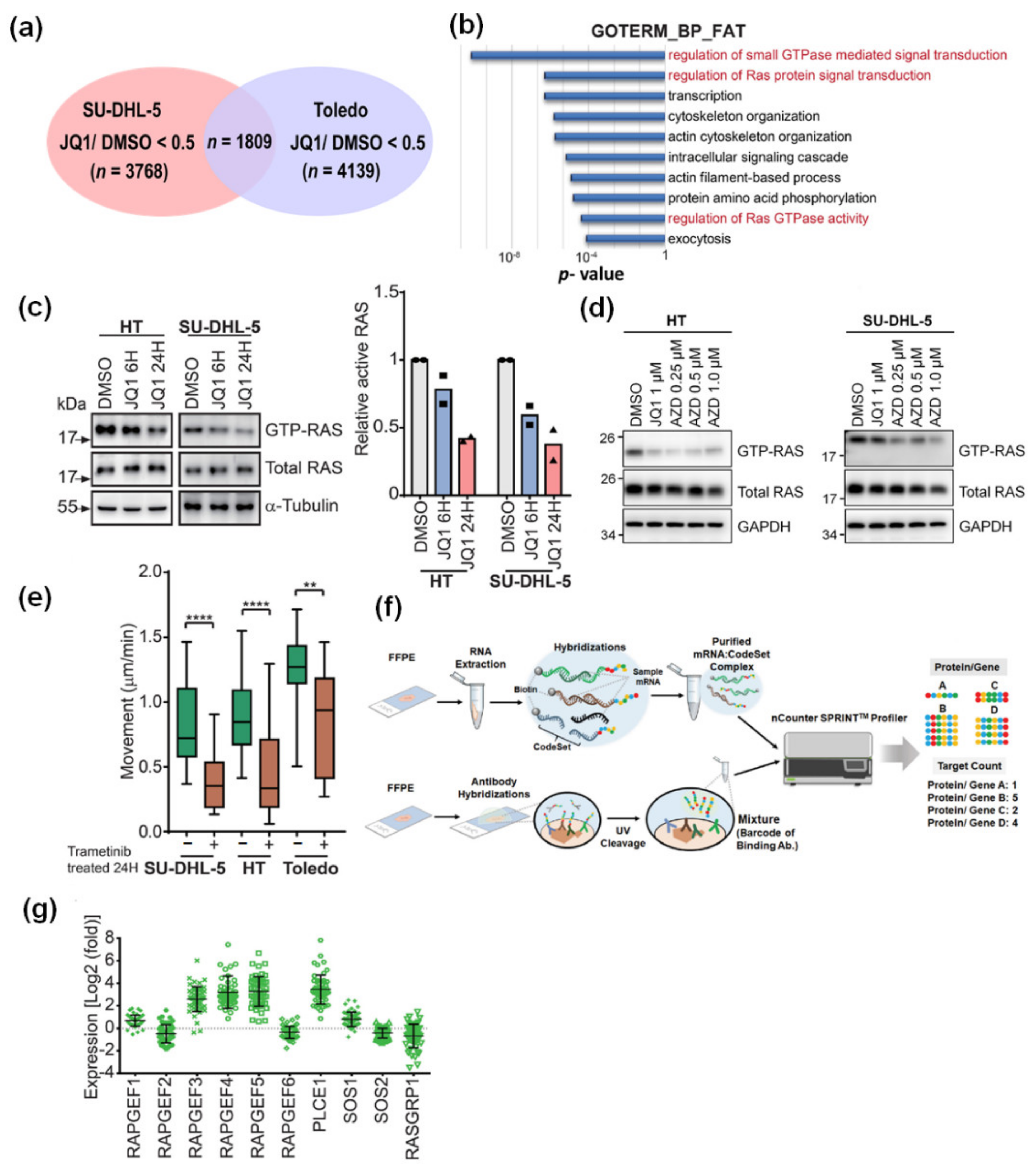 Cancers 13 05024 g003