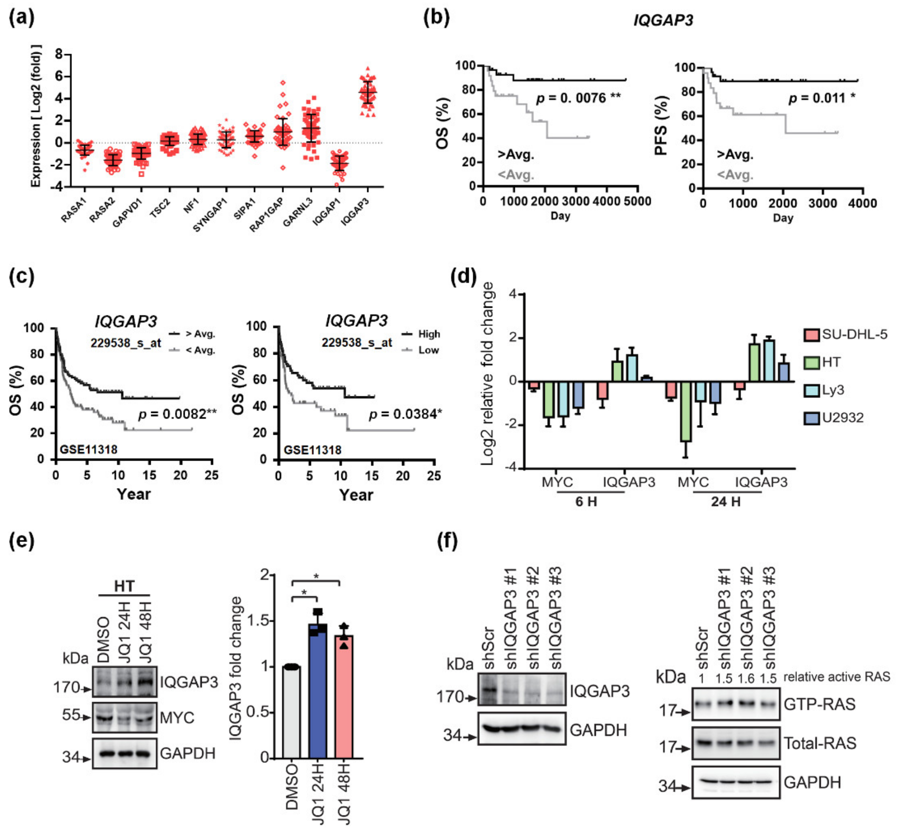 Cancers 13 05024 g004