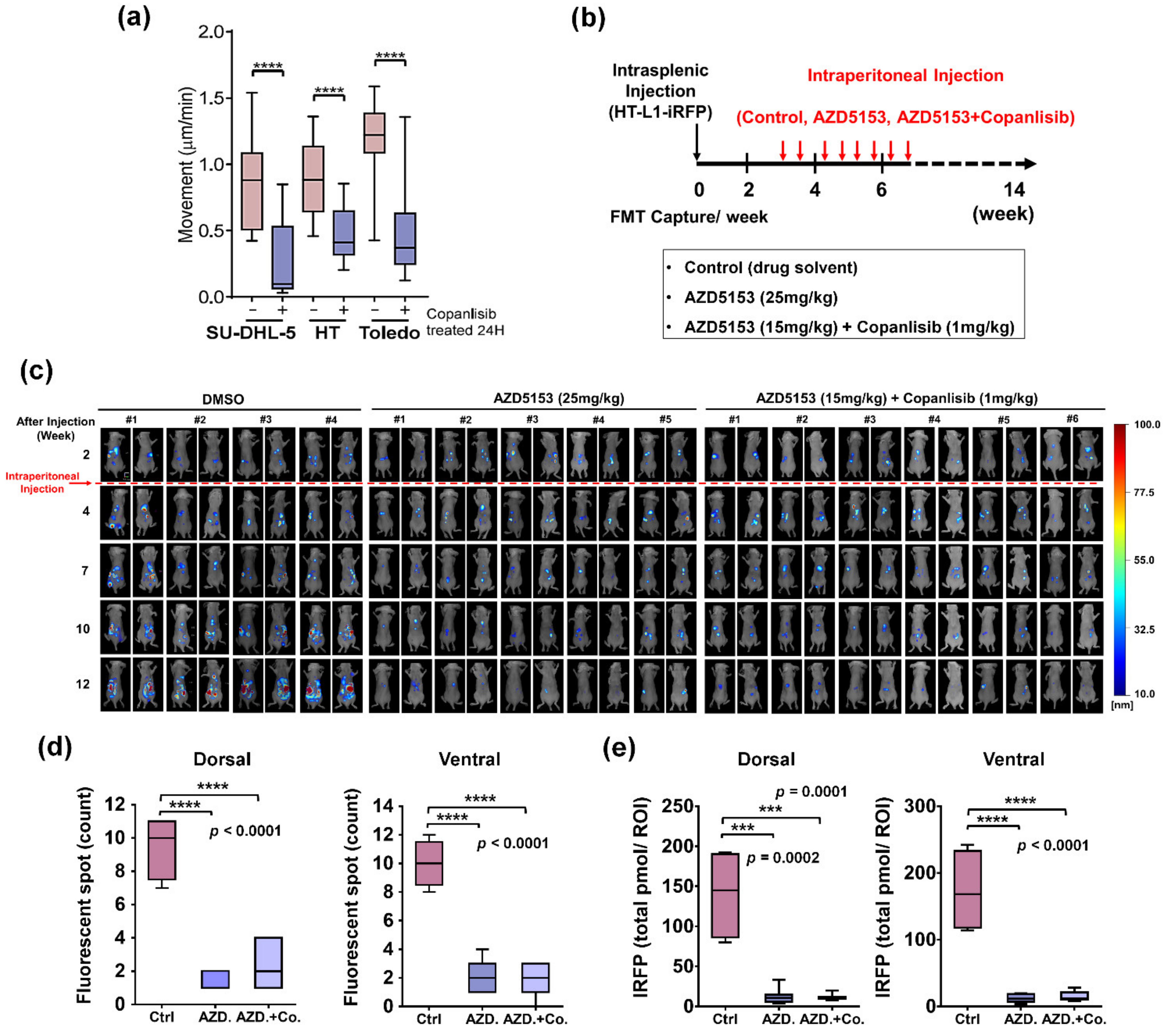 Cancers 13 05024 g006
