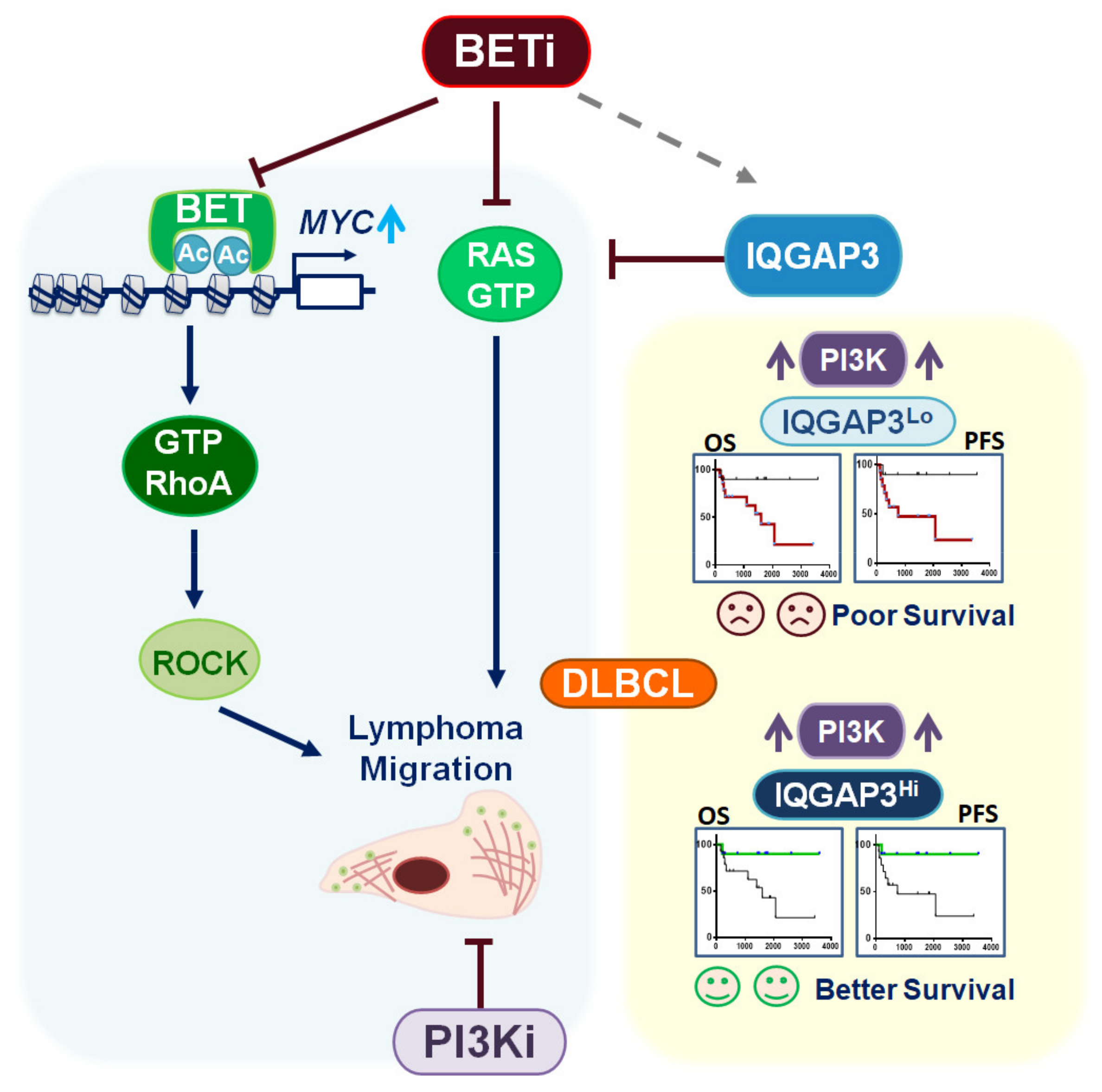 Cancers 13 05024 g007