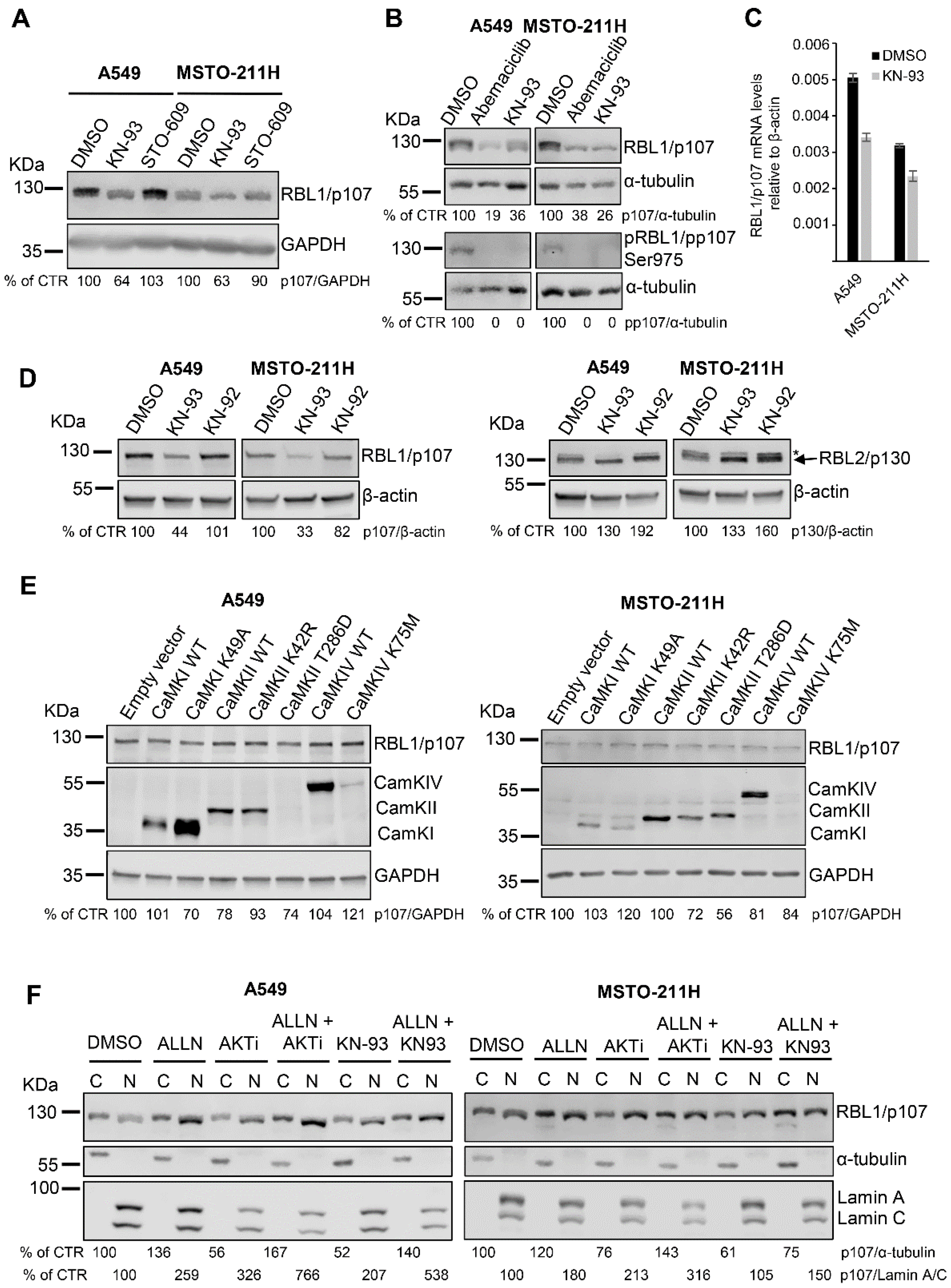 Cancers 13 05025 g004 Cancers 13 05025 g004