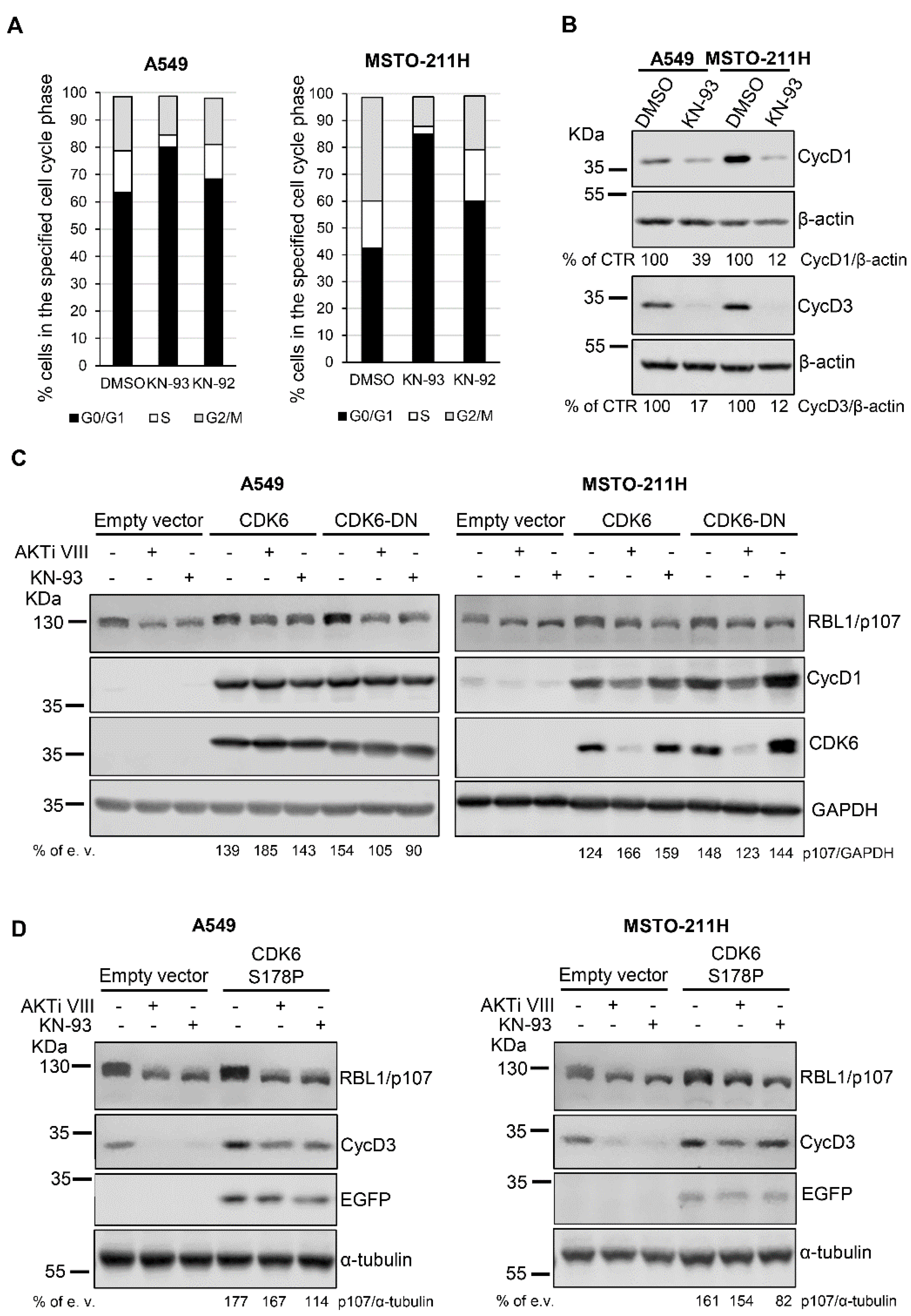Cancers 13 05025 g005 Cancers 13 05025 g005