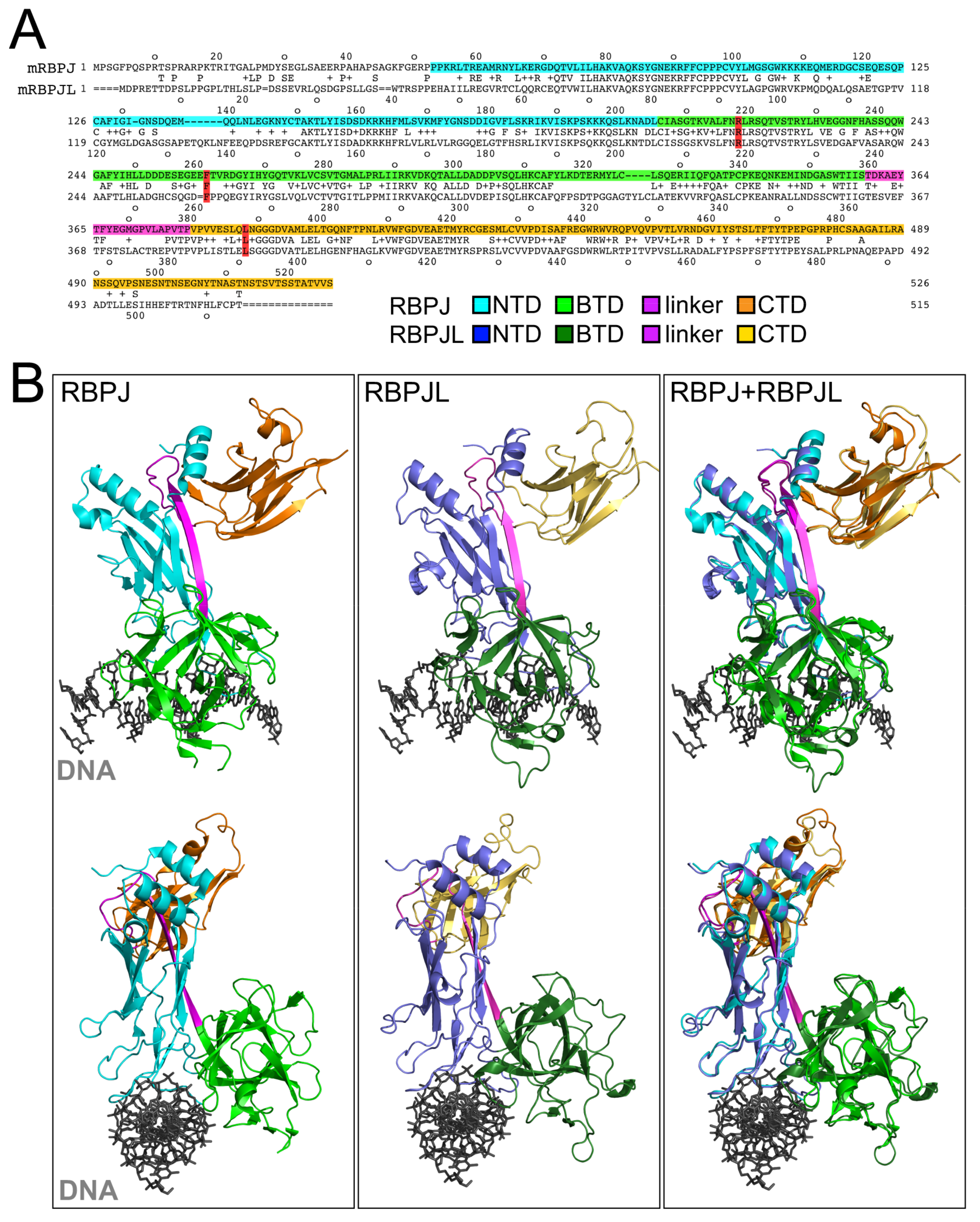 Cancers 13 05027 g001 Cancers 13 05027 g001