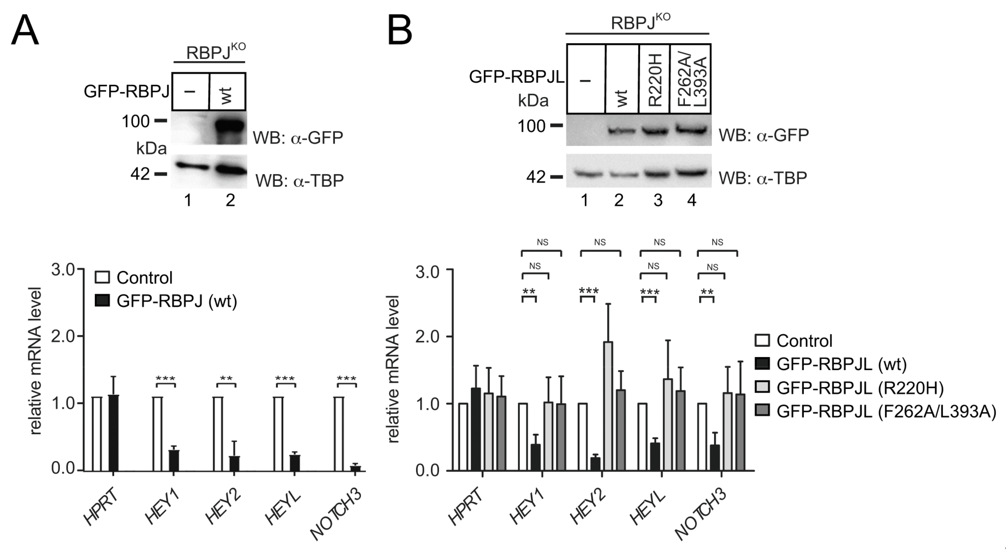 Cancers 13 05027 g007 Cancers 13 05027 g007