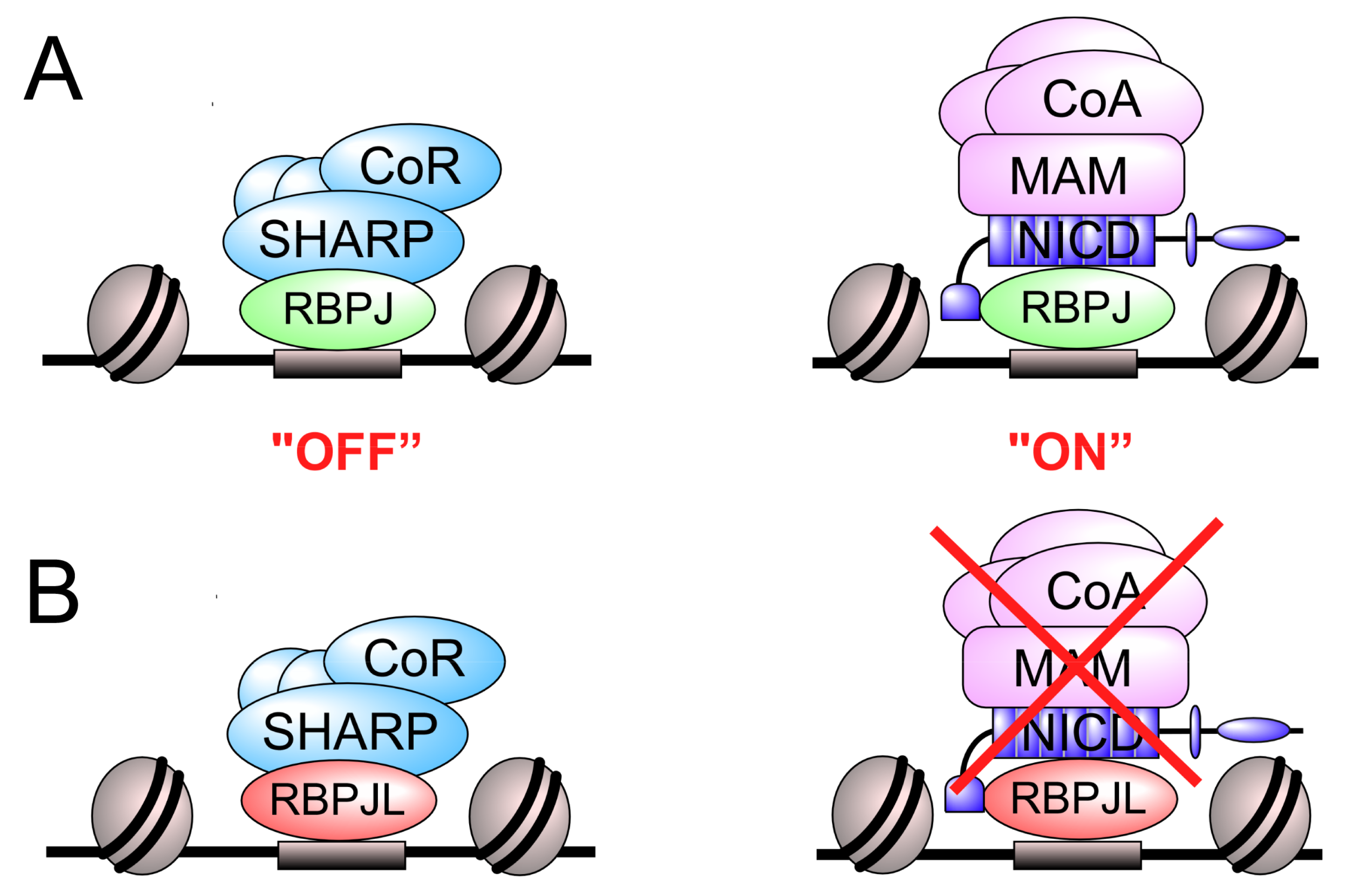 Cancers 13 05027 g008 Cancers 13 05027 g008