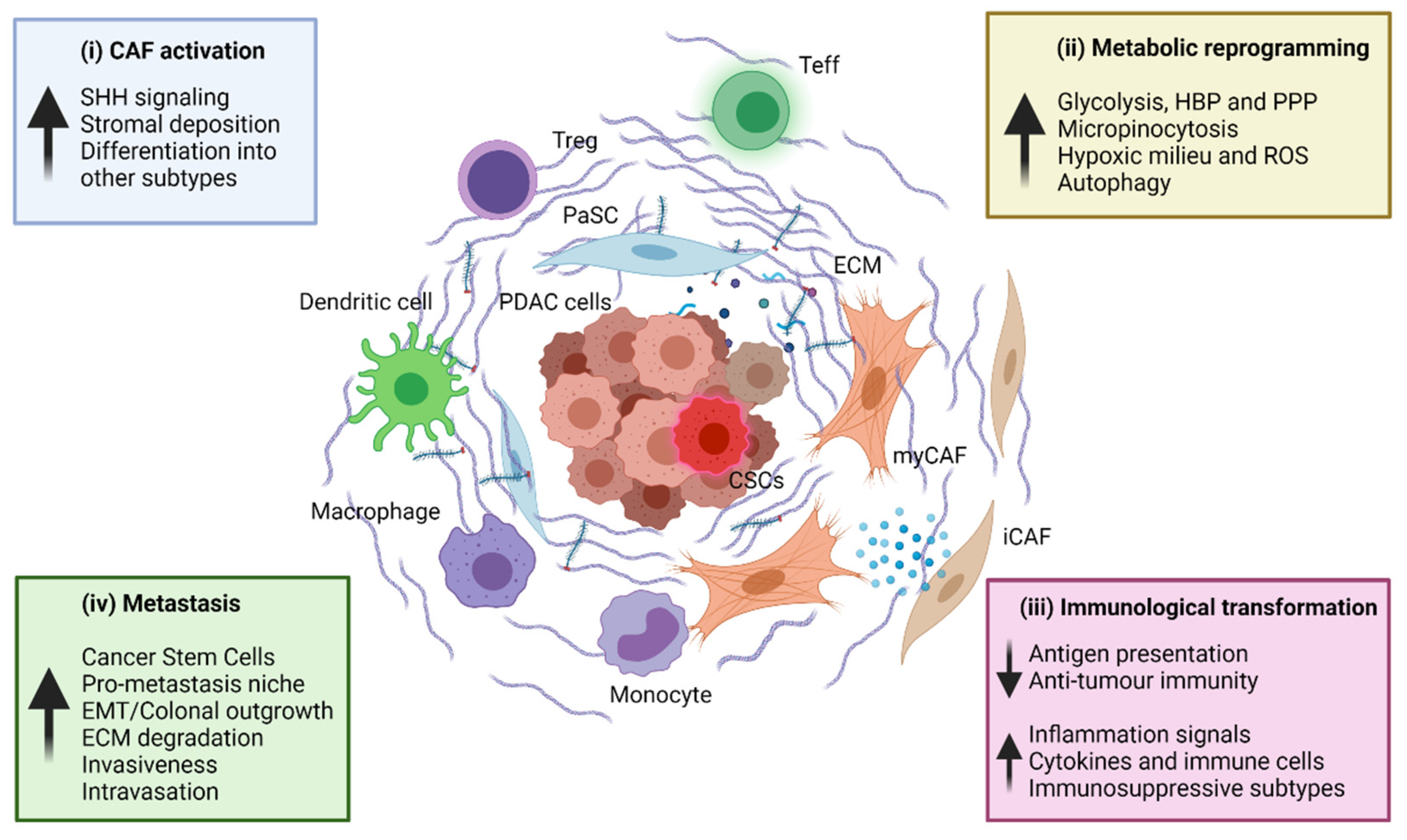 Rife machine for cancer: Does it work, and are there any risks?