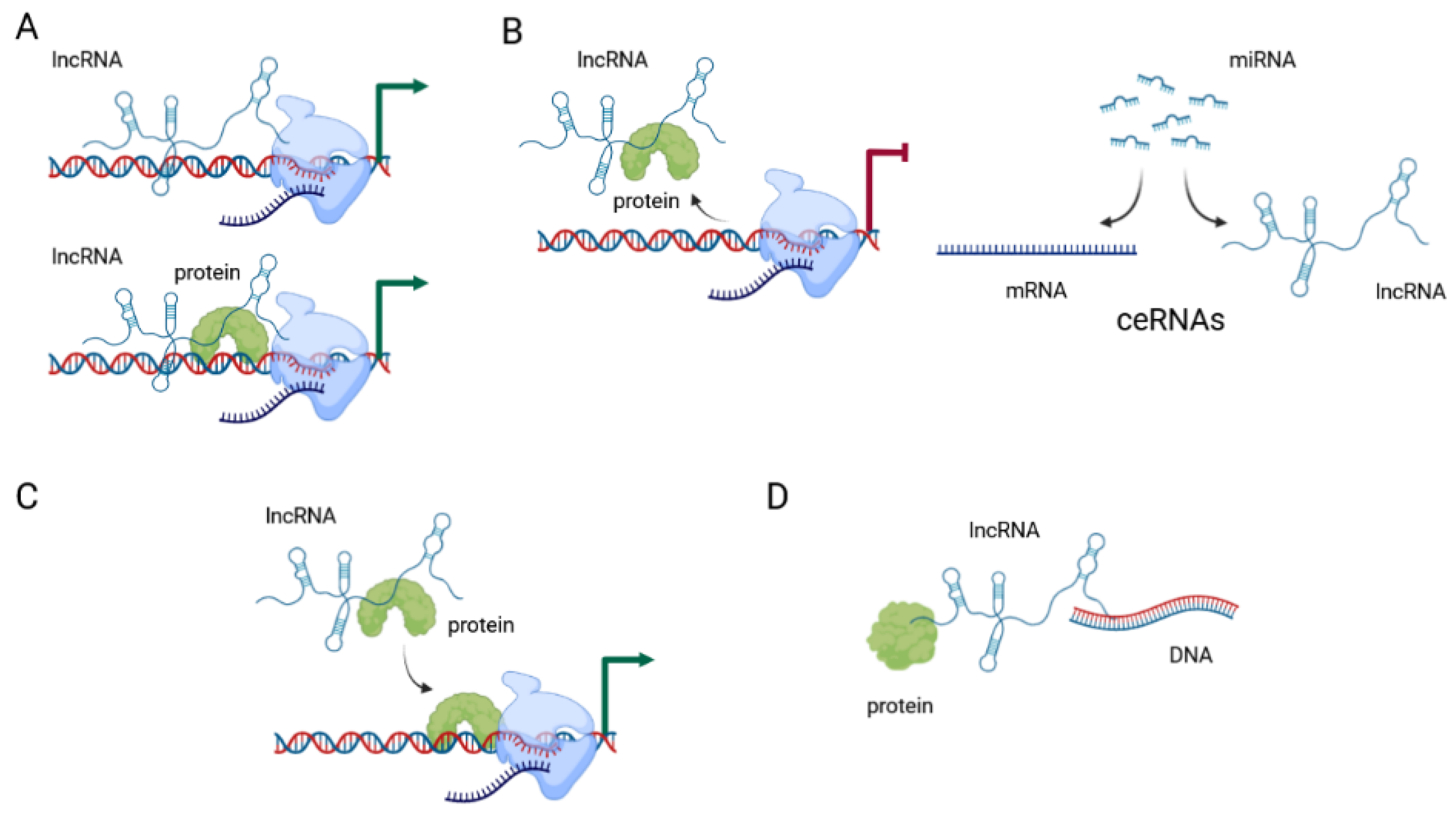 Cancers 13 05040 g002 550