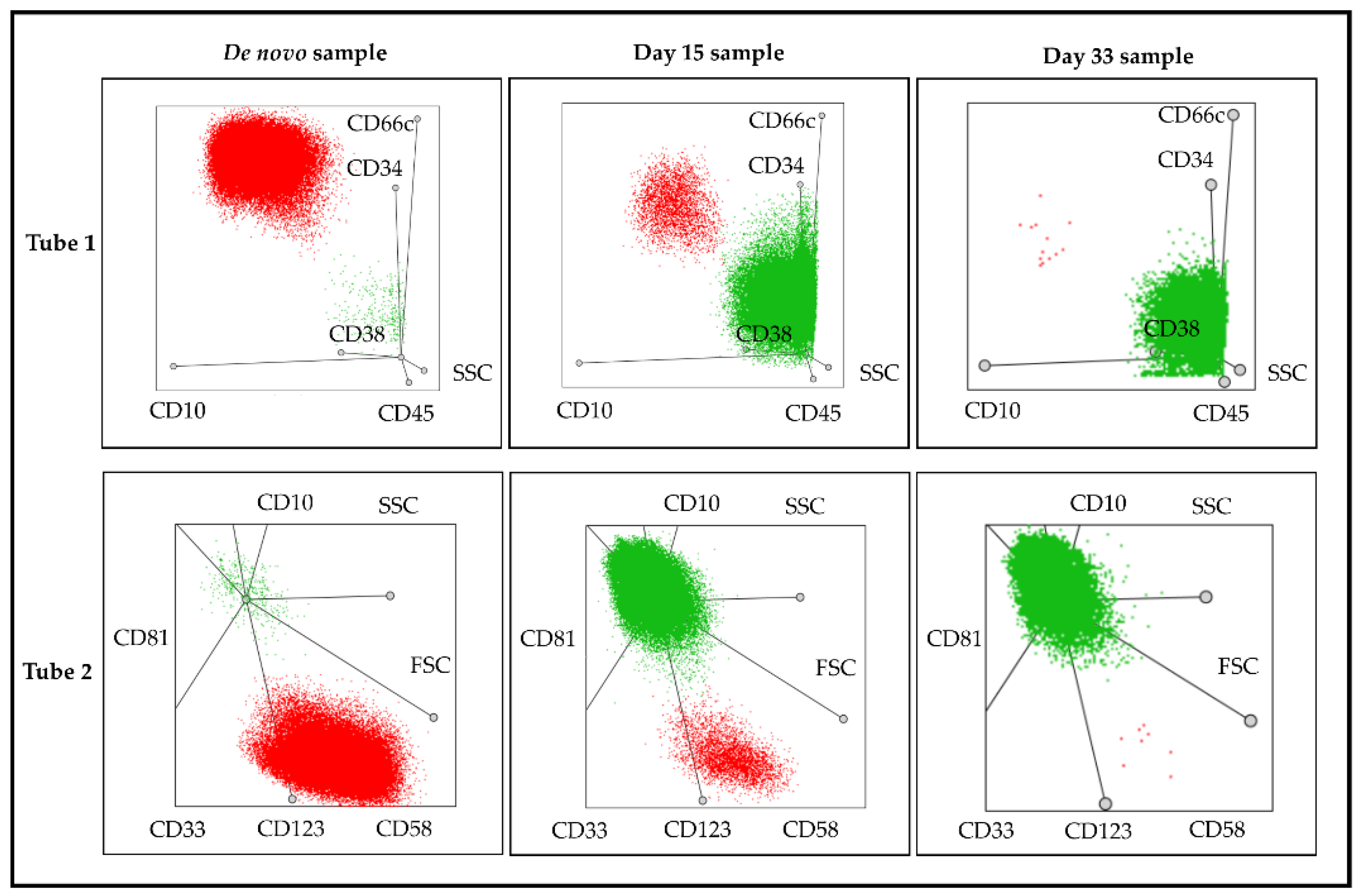 Cancers 13 05044 g004