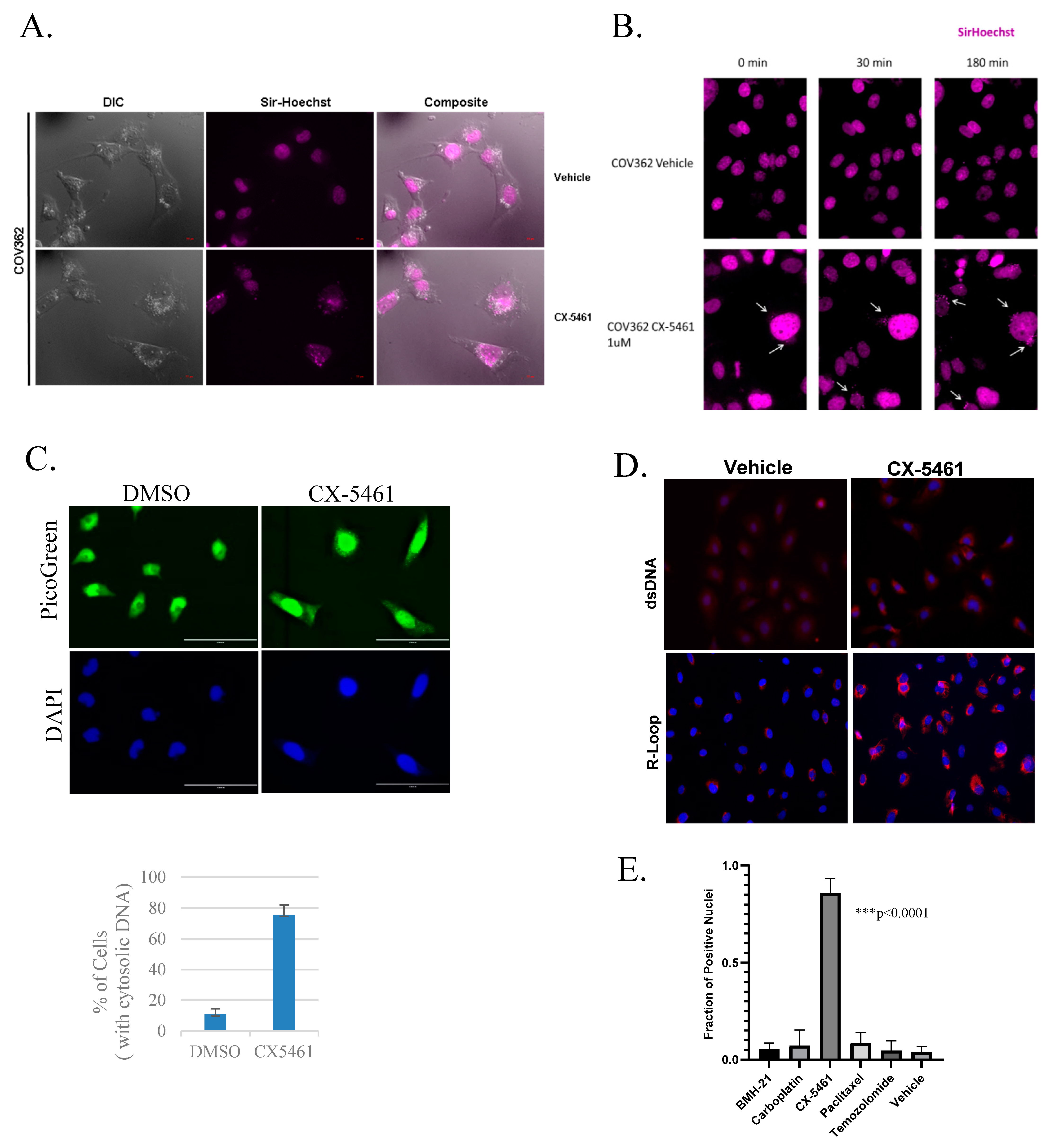 Cancers 13 05056 g001