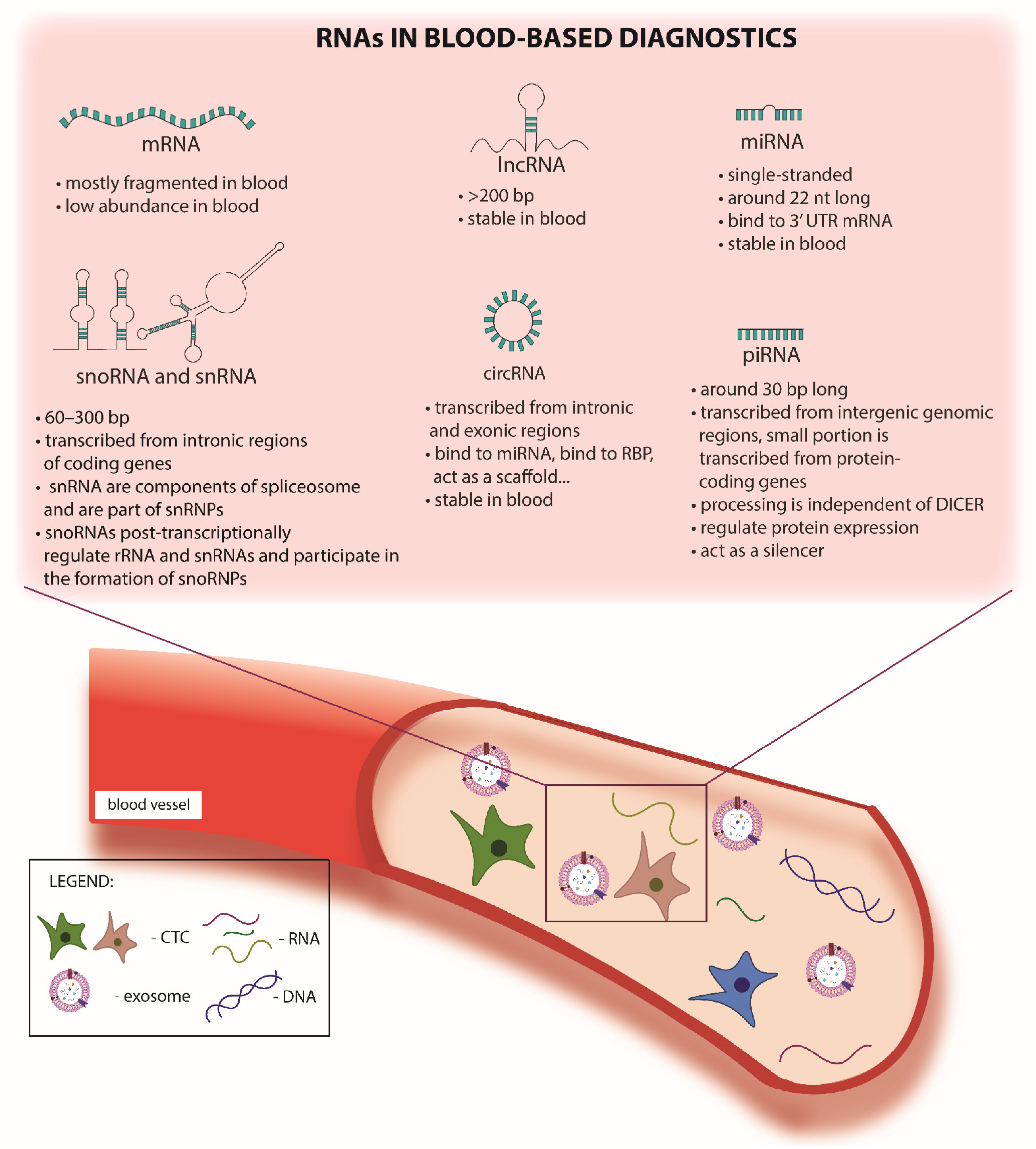 Cancers 13 05060 g001