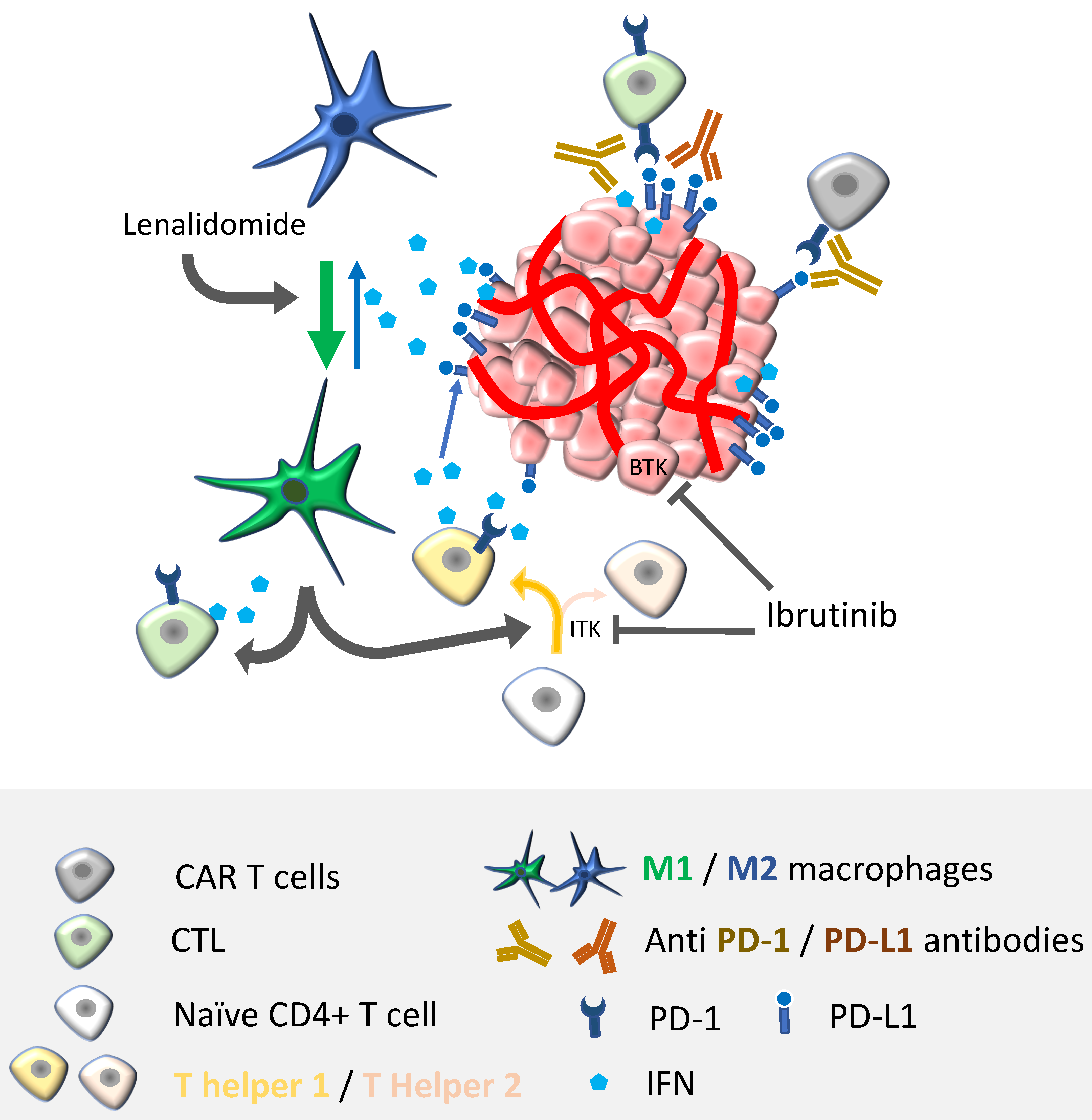 Cancers 13 05061 g002 550