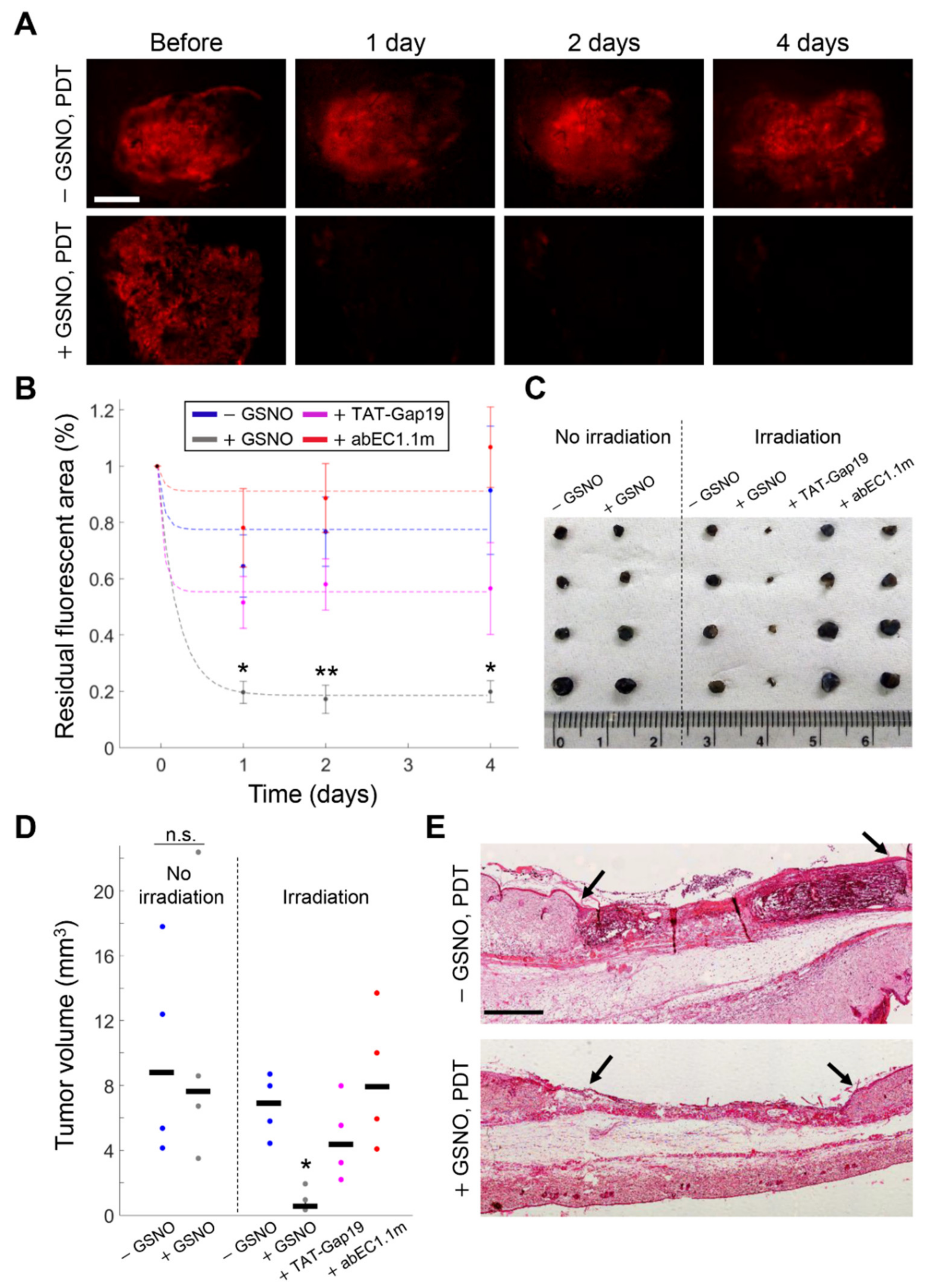 https://www.mdpi.com/cancers/cancers-13-05062/article_deploy/html/images/cancers-13-05062-g006.png