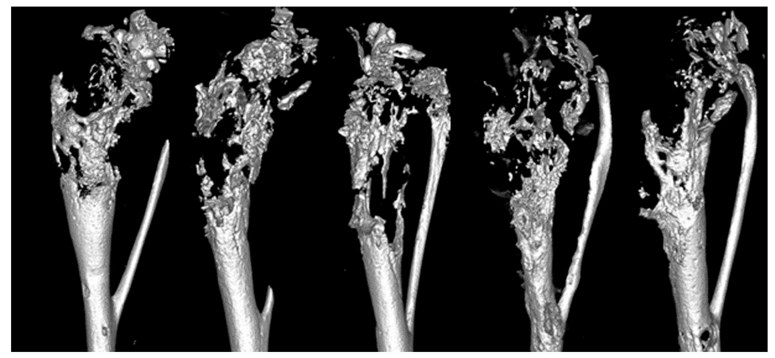 Cancers 13 05066 g002