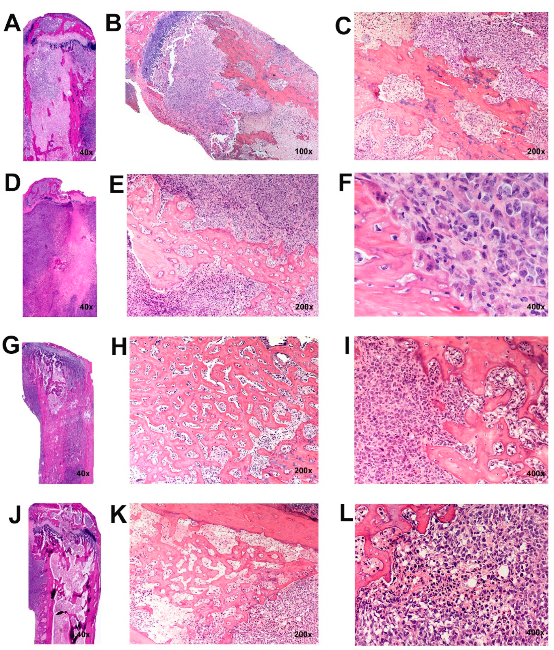 Cancers 13 05066 g005