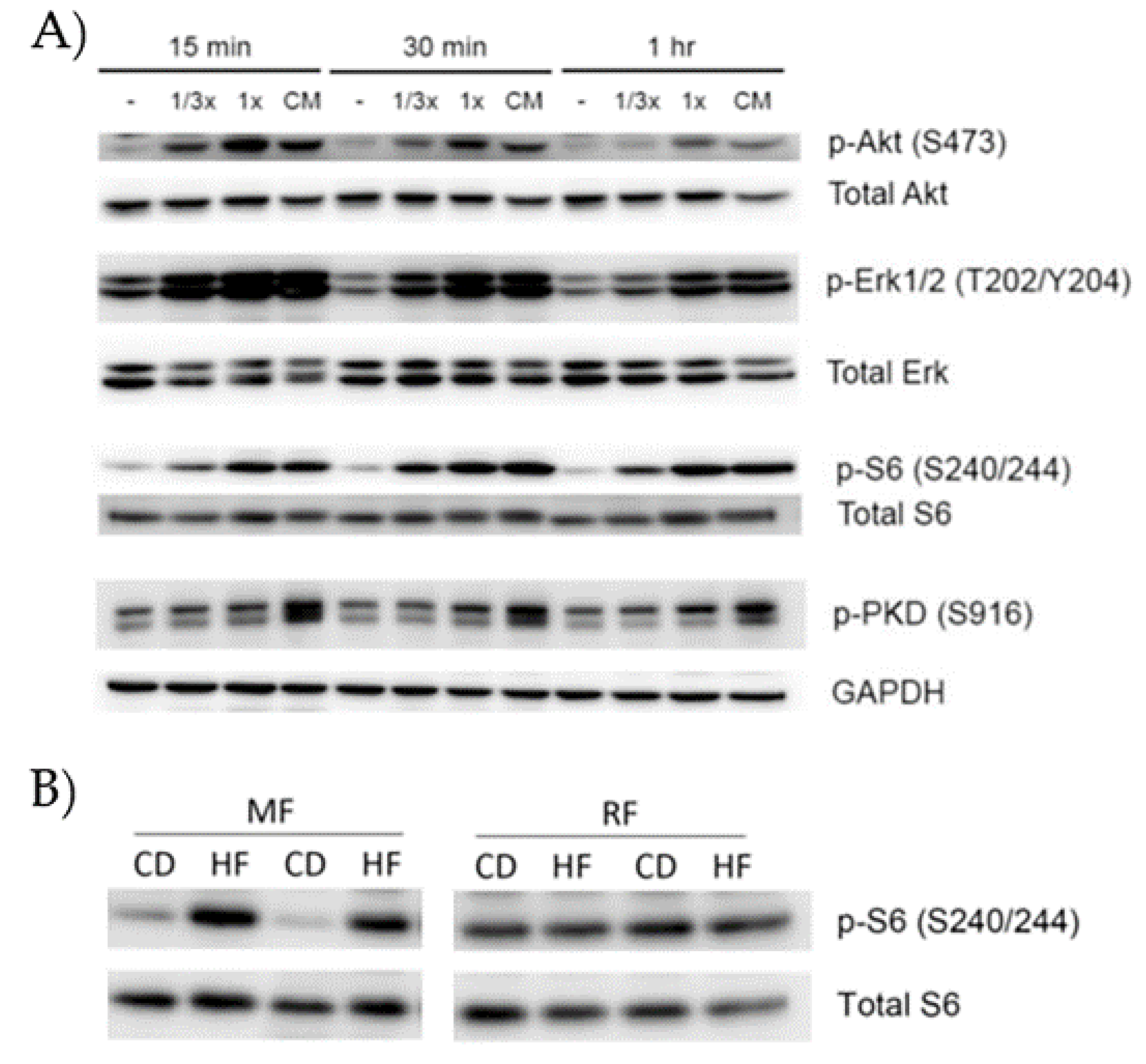 Cancers 13 05067 g001
