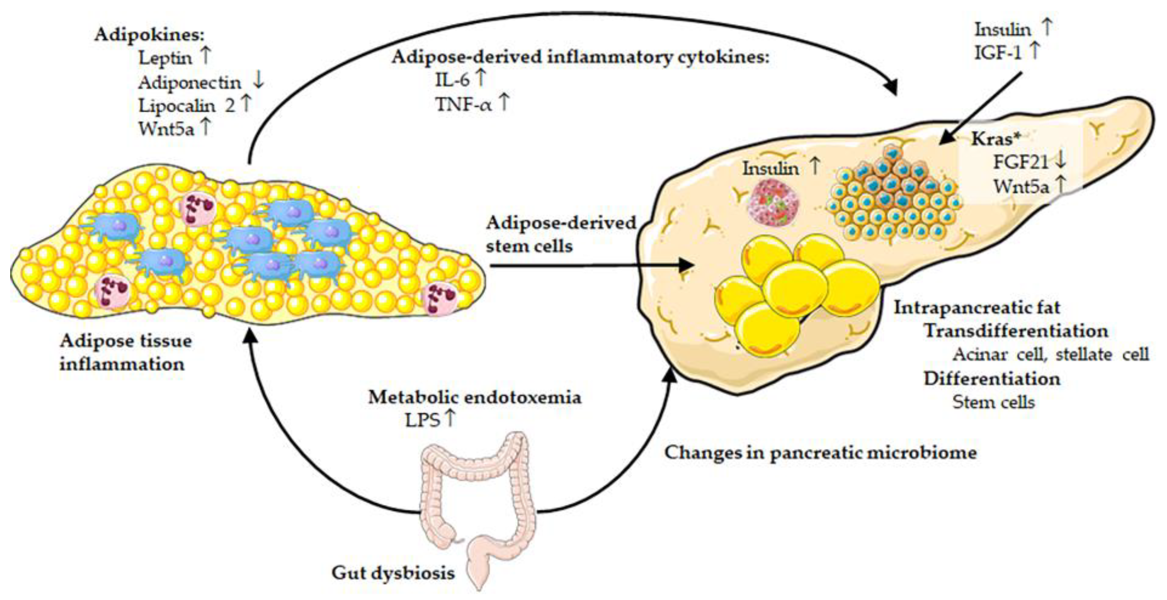Cancers 13 05067 g002