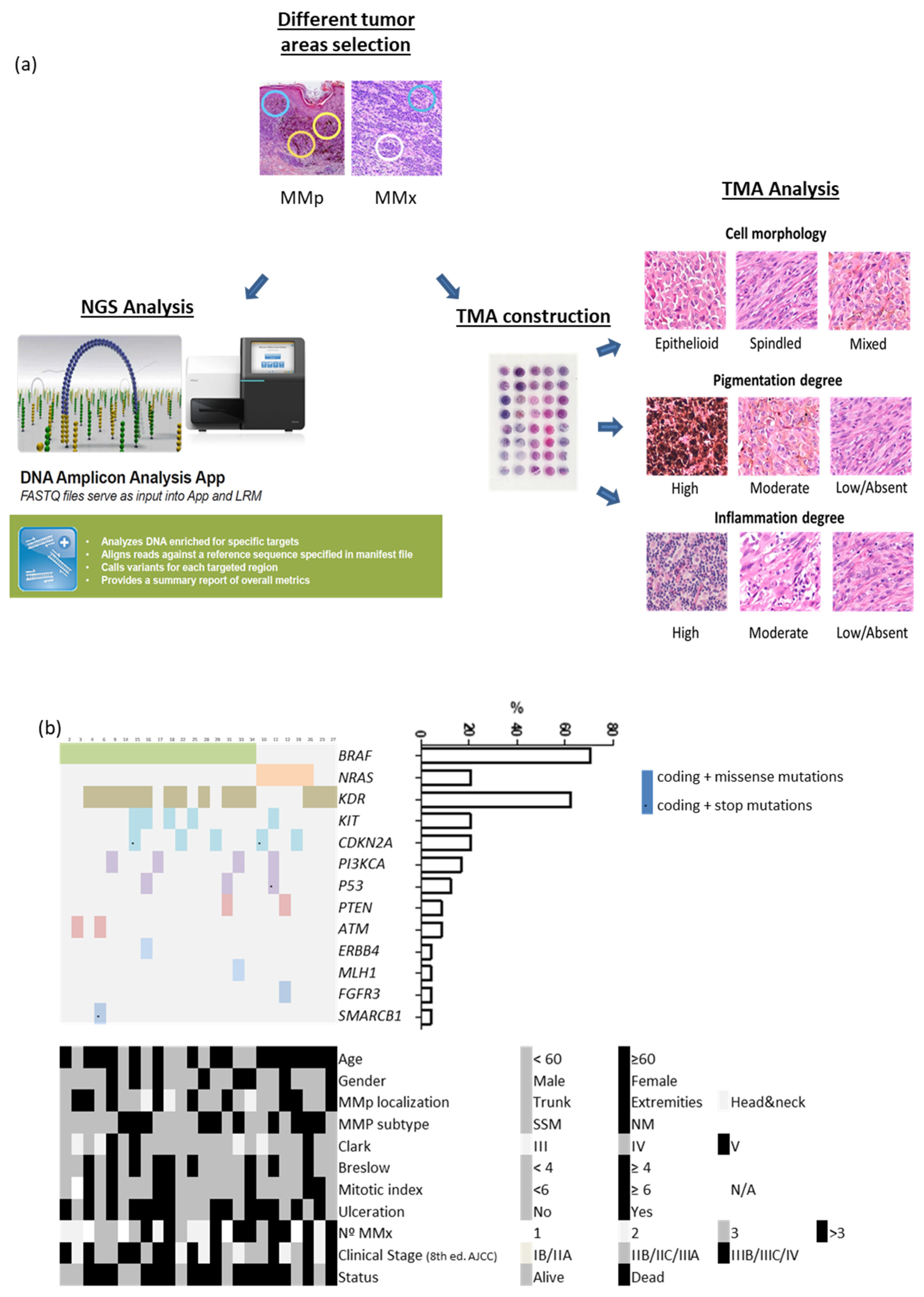 Cancers 13 05073 g001 550